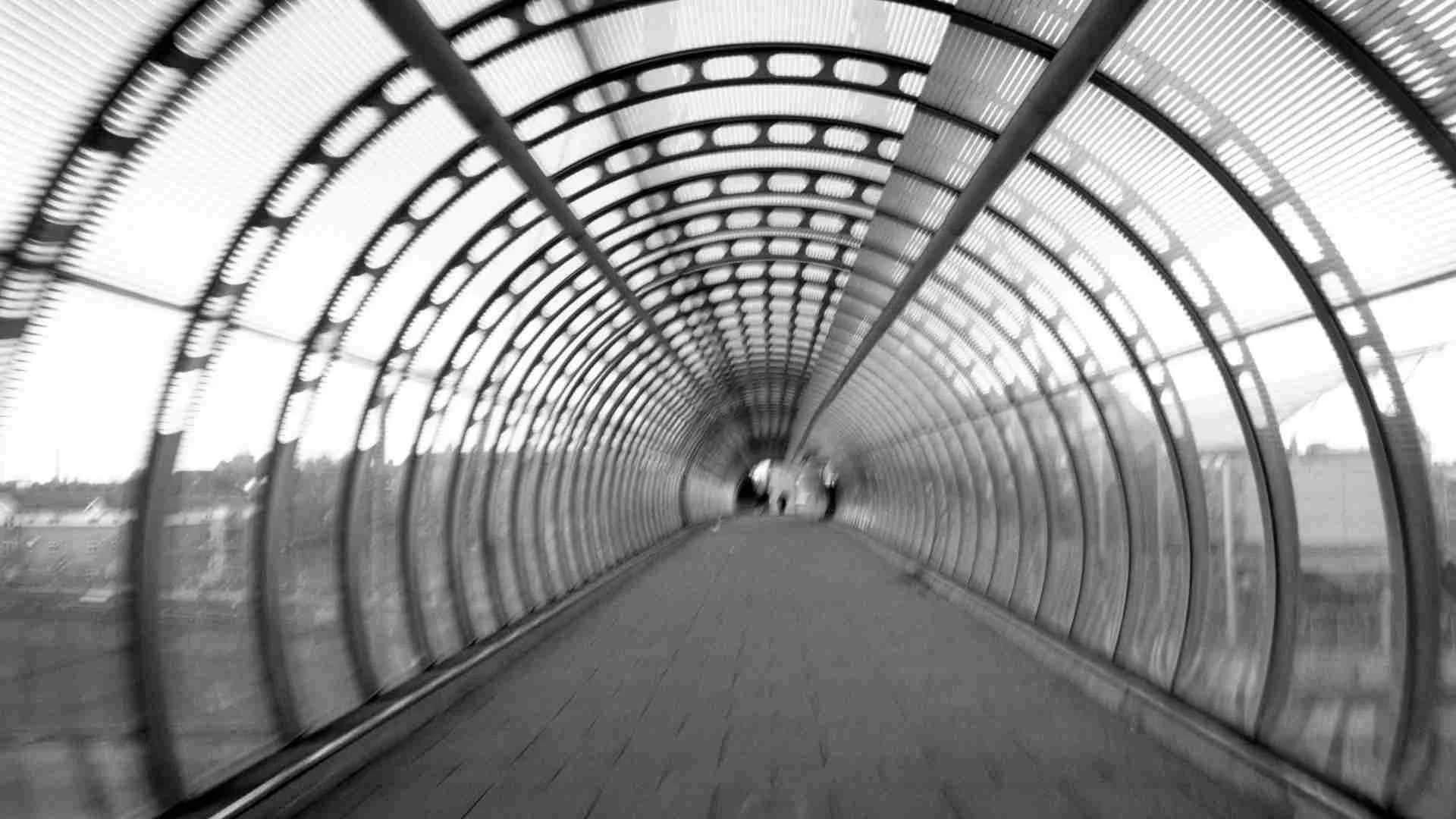 Contestación de observación de fondo marcas comerciales INAPI