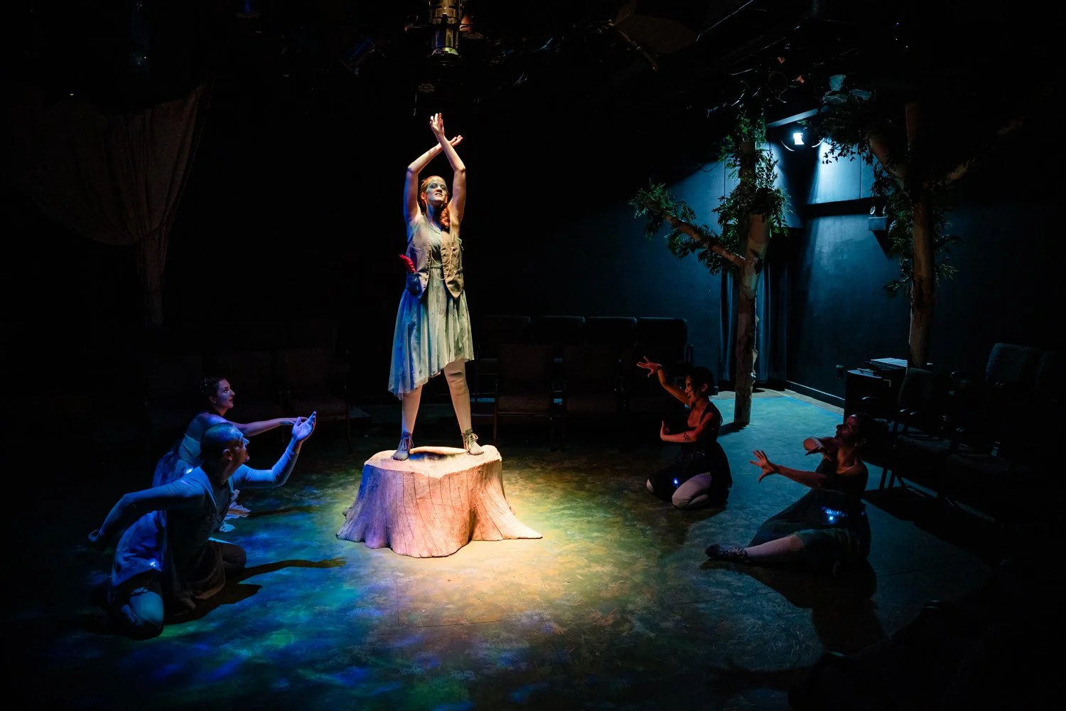 Photo by Steven Townshend