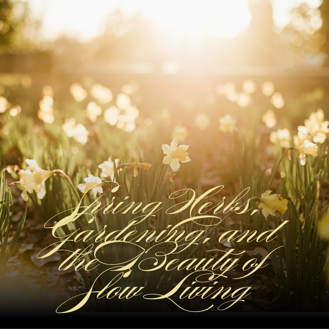 Spring Herbs, Gardening, and the Beauty of Slow Living