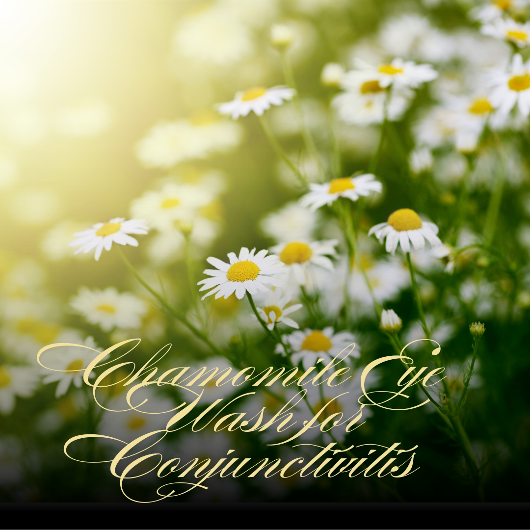 Natural Eye Care: How to Create a Gentle Chamomile Eye Wash for Conjunctivitis