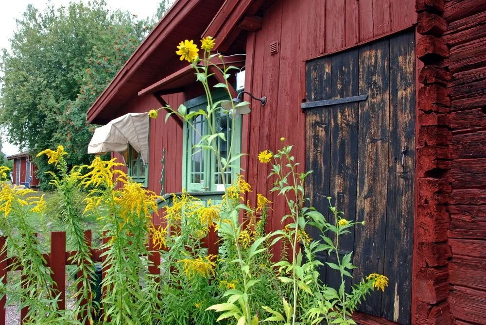 Outbuilding on the Larsson grounds.