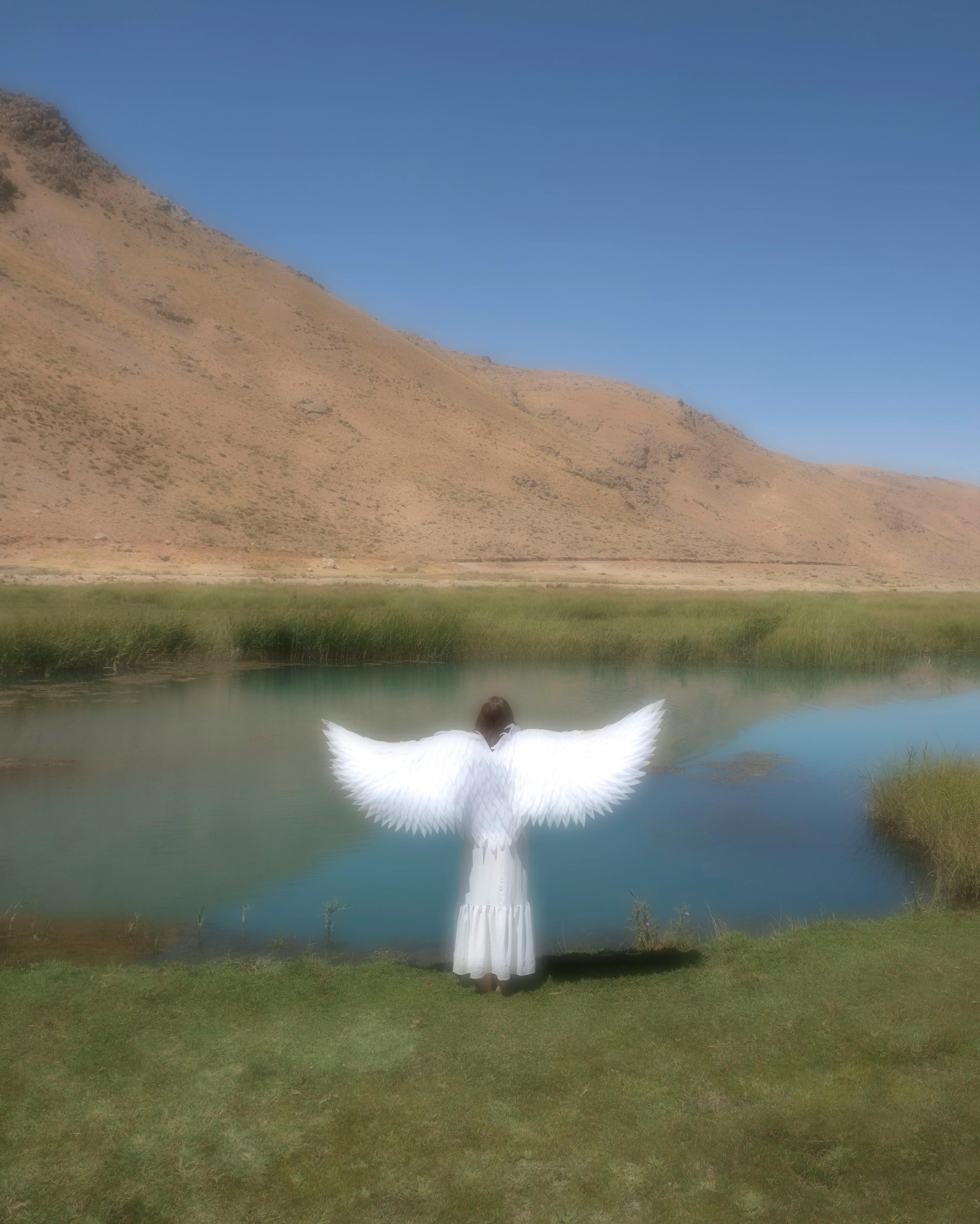 angelback1.jpg