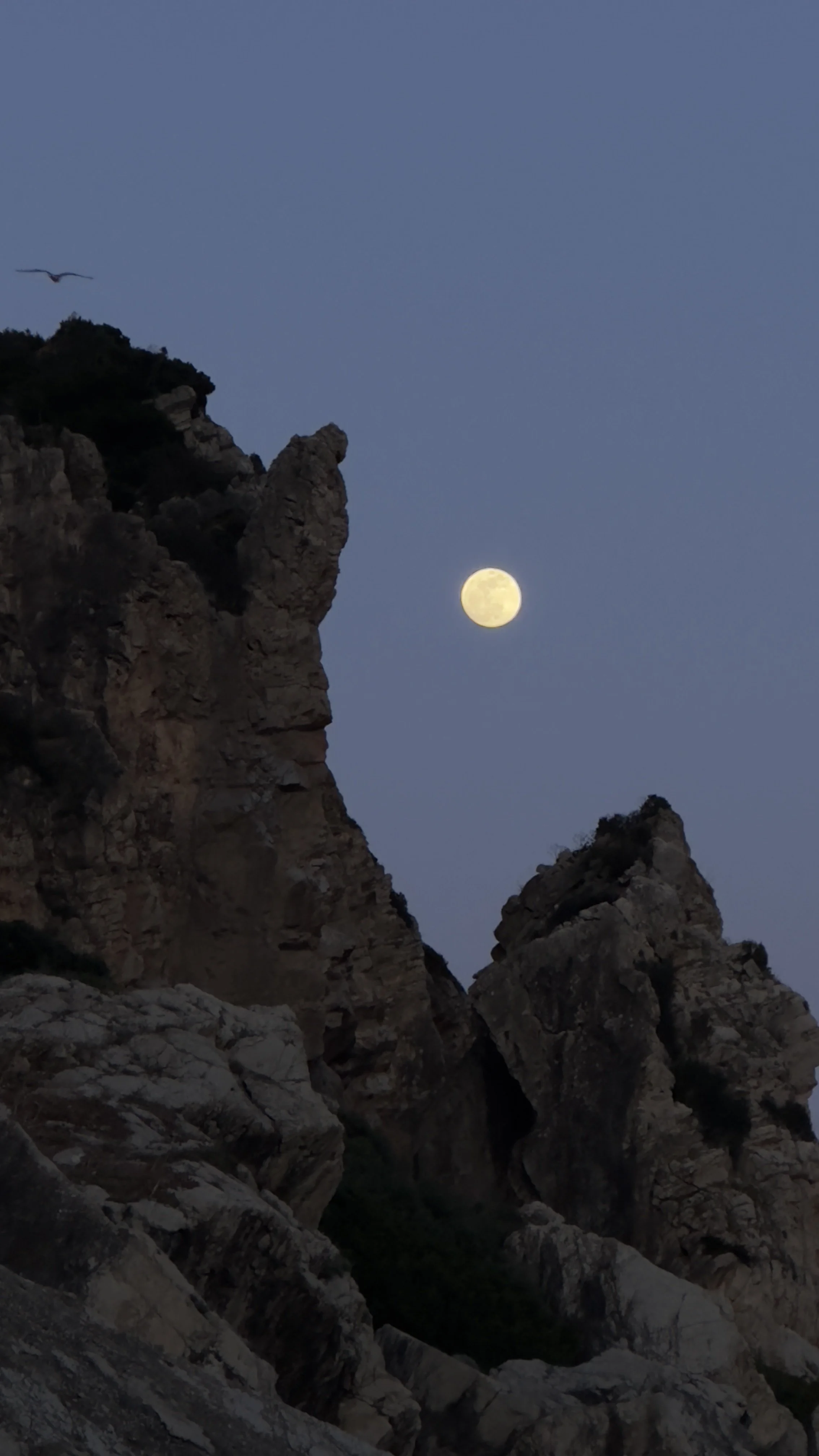 Bomvento Portugal es una empresa familiar que brinda servicios de viajes y asesorías de familia a familia para hacer de Portugal tu hogar por días, meses, años o para toda la vida. Viaja a Portugal.