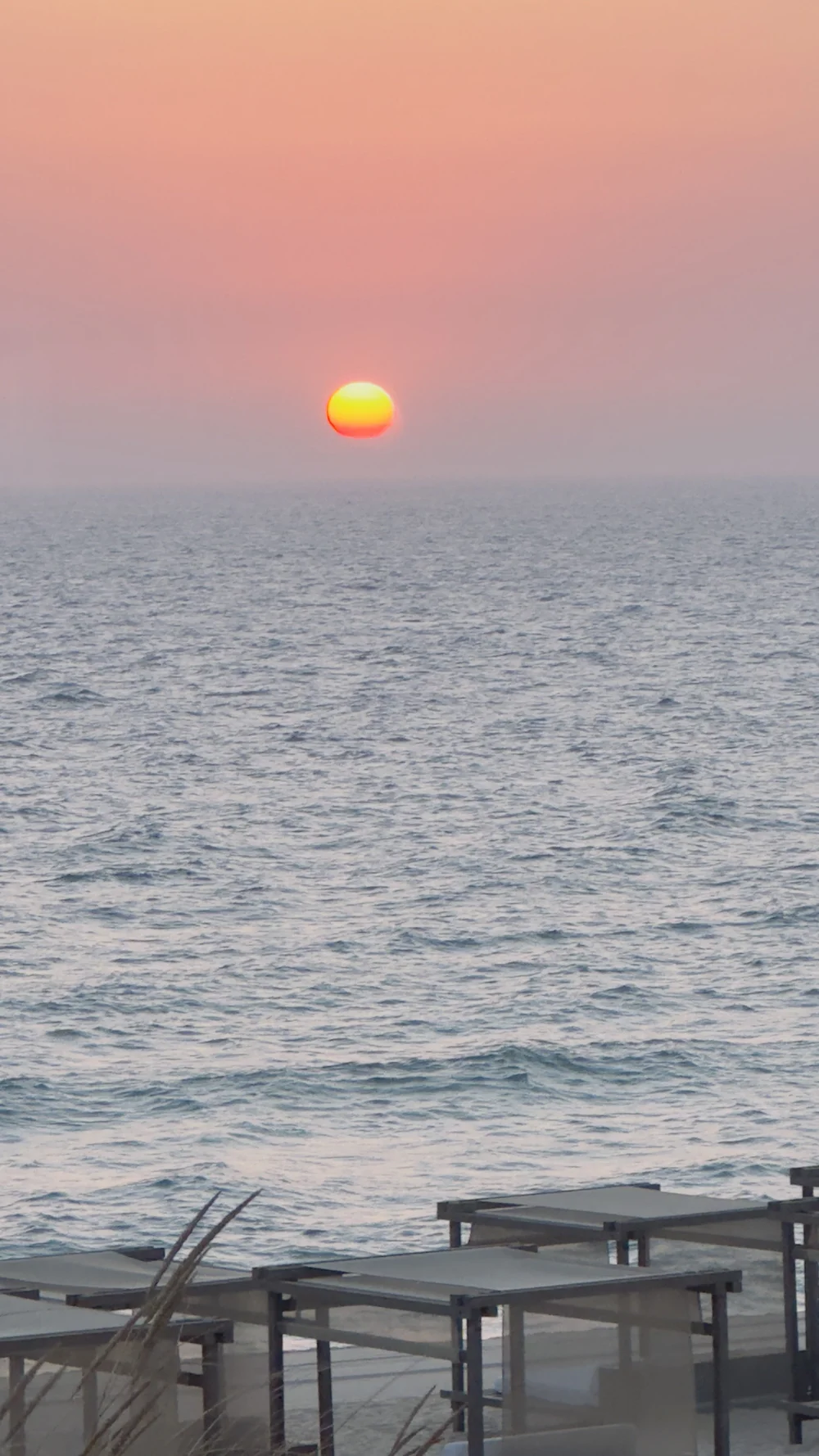 Comporta Pego Jnoceqoui.jpg