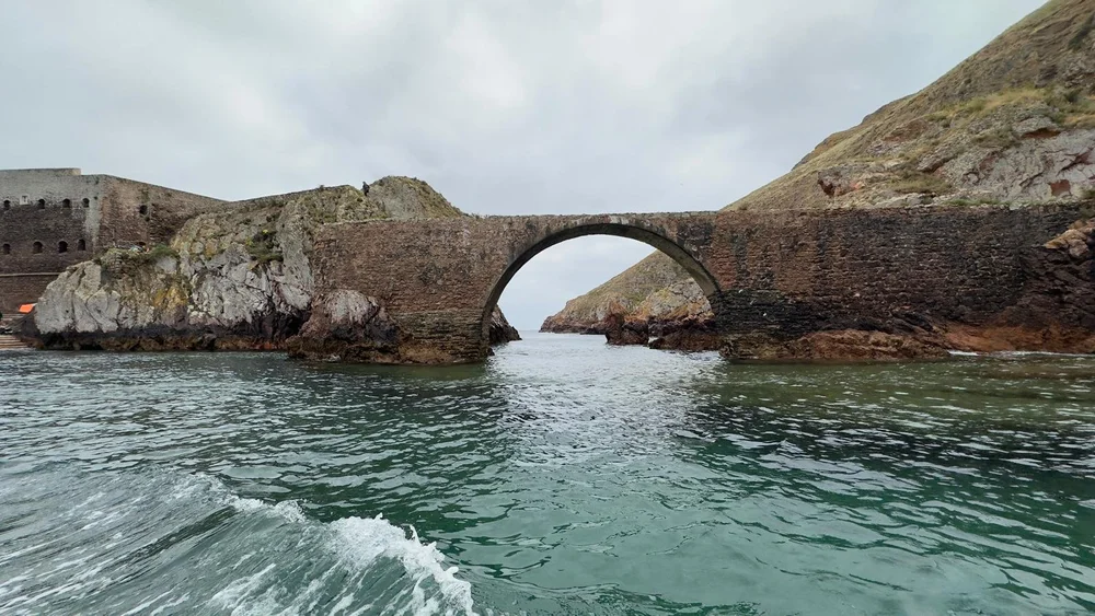 WhatsApp Image 2025-10-24 at 11.24.10.jpeg