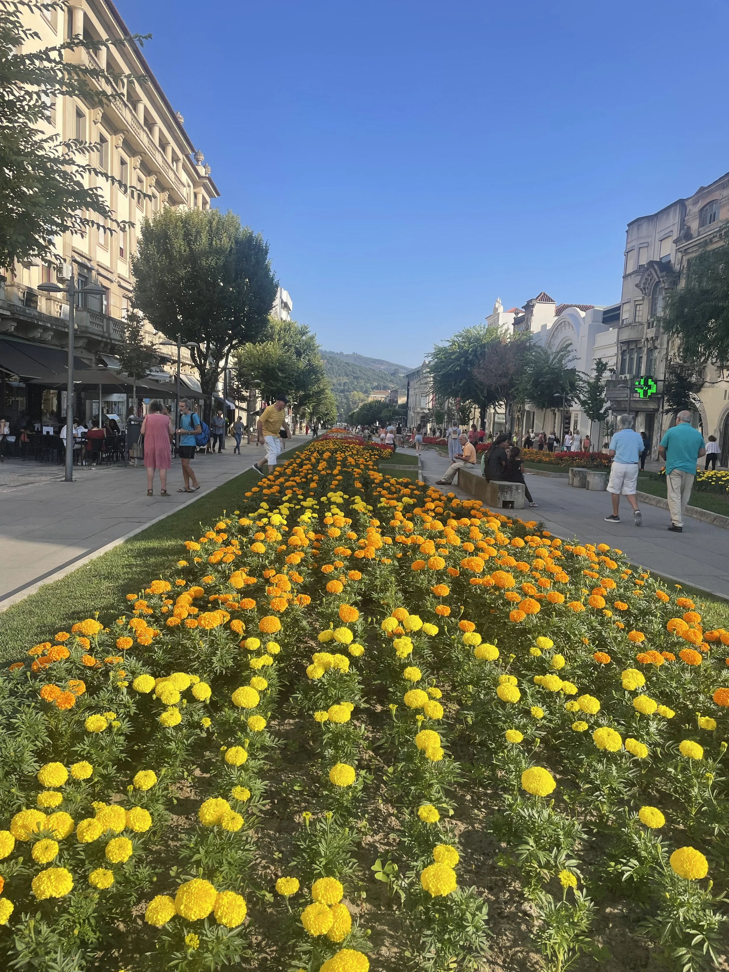 Calle peatonal en Portugal con flores amarillas y naranjas en el centro, rodeada de edificios y árboles, con personas caminando en un día soleado.