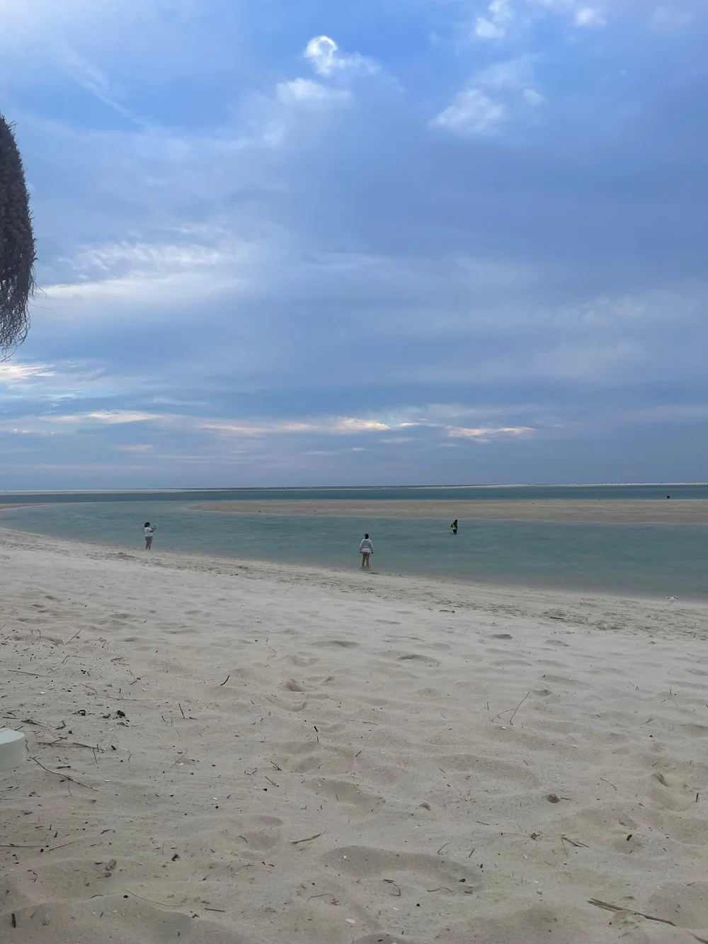 WhatsApp Image 2025-09-04 at 15.07.52.jpeg