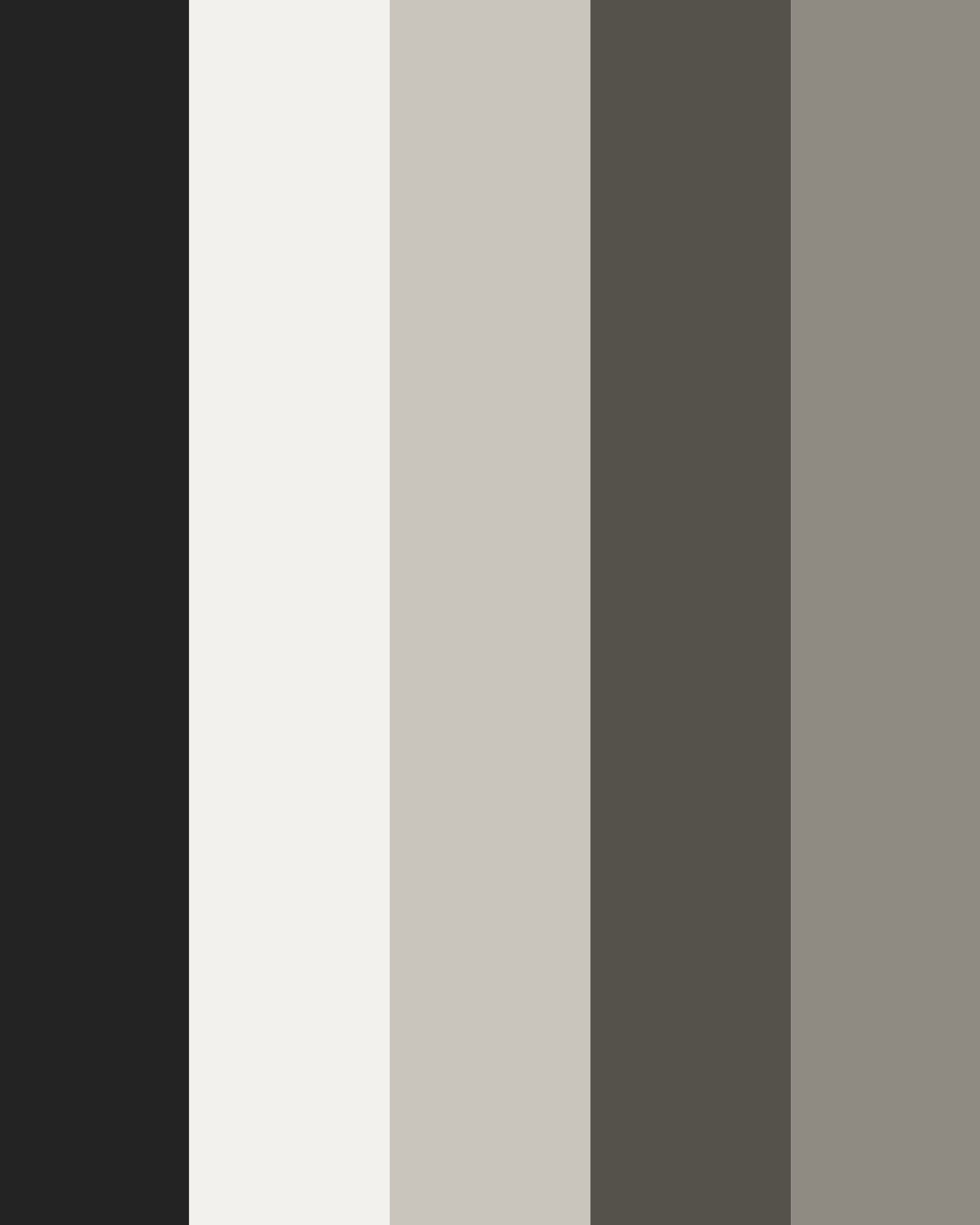 Lillie Ruth Photography brand color palette: Darkroom, Gallery White, Silver Gelatin, Tintype, and Filmgrain