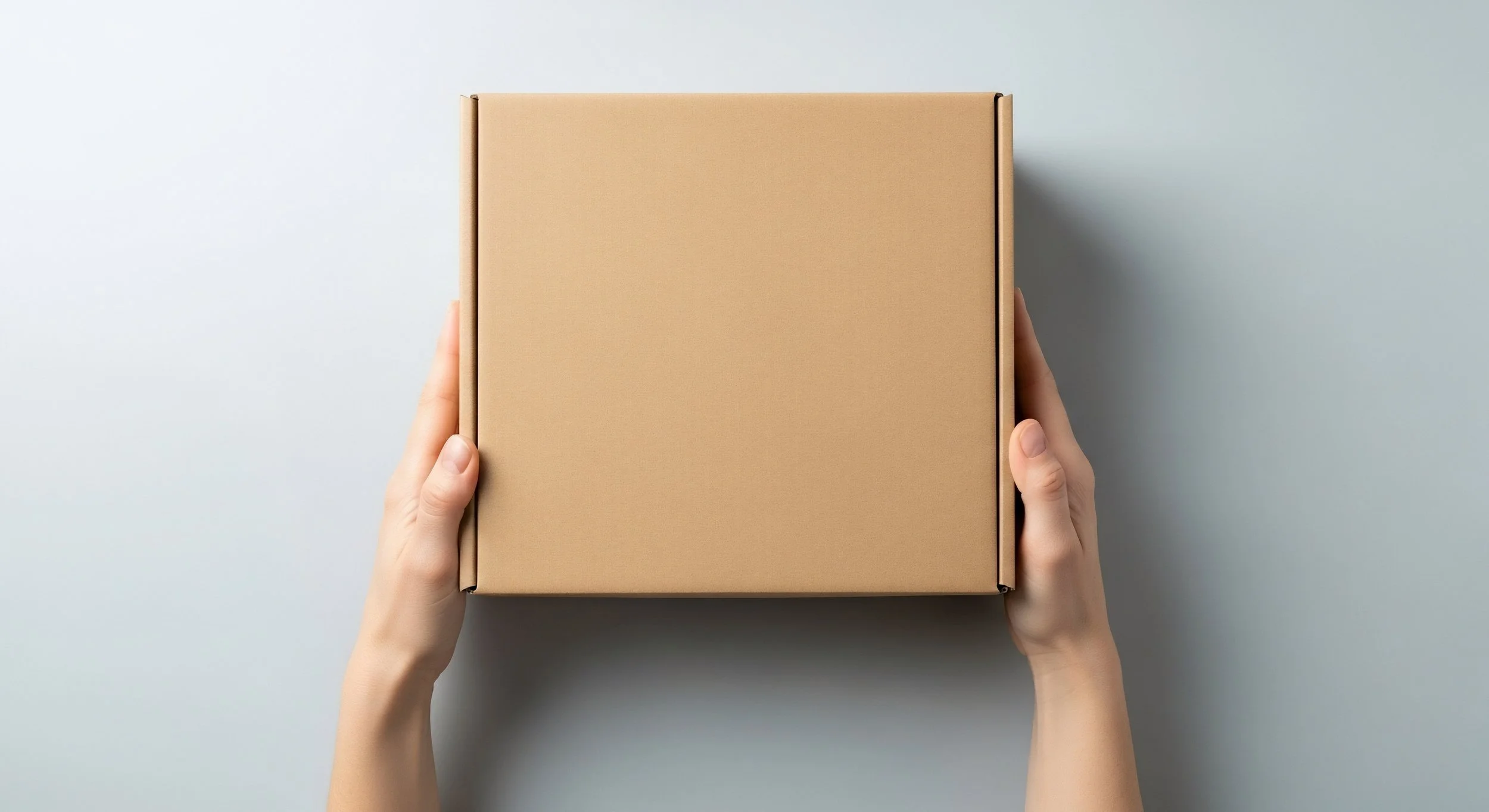 Person holding a plain, closed brown cardboard box with both hands.