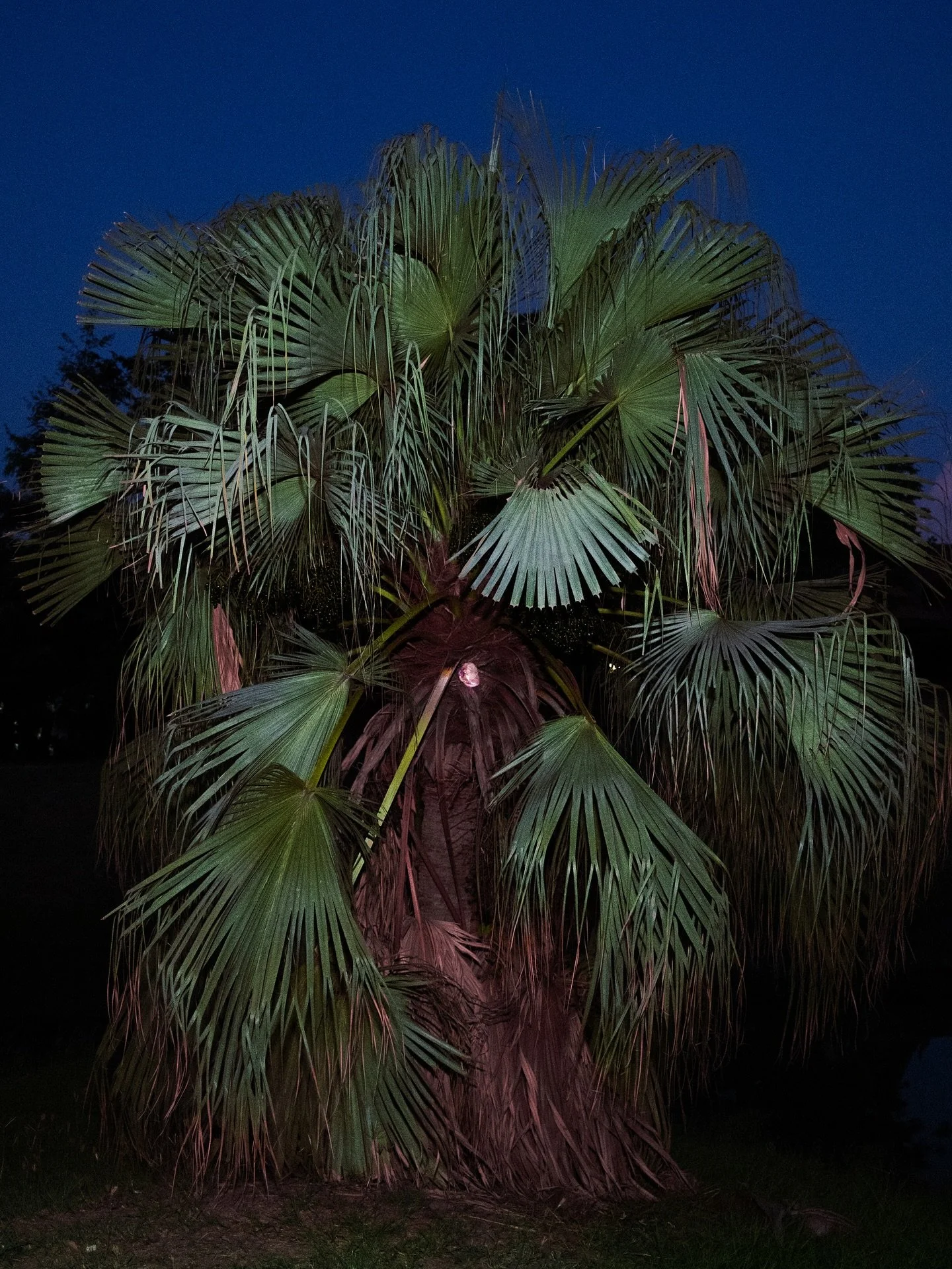 3 วันสุดท้าย
กับโอกาสในการเยี่ยมชมเทศกาลของพวกเรา!

ภาพถ่ายโดย: ณัฐธยาน์ ไทยเดชา

Only 3 days left 
Don&rsquo;t miss your chance to visit our festival

Photo by Natthaya Thaidecha @maiheartandsoul