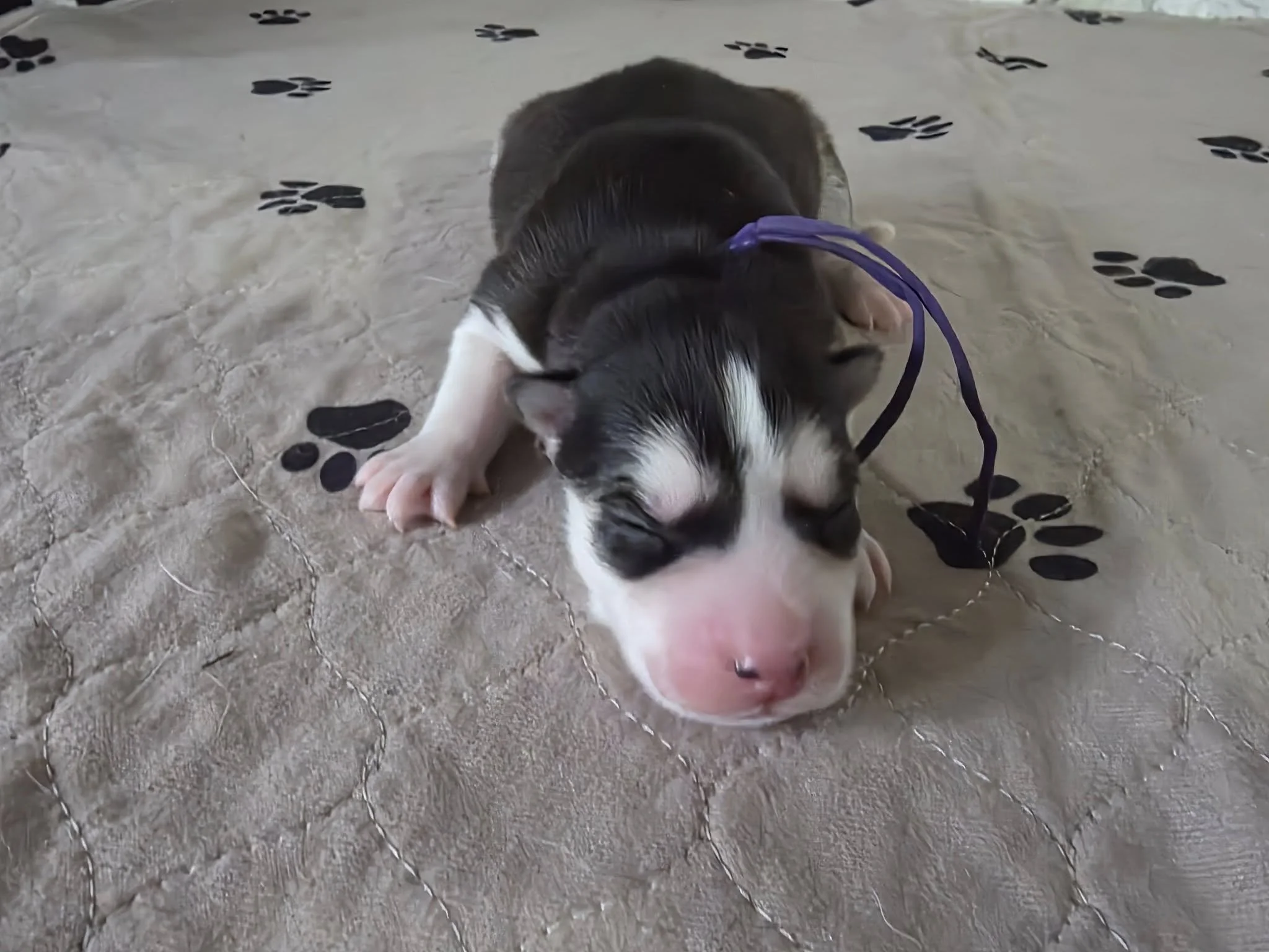 607659757_122171534840603306_4396101351670017463_n (4).jpg