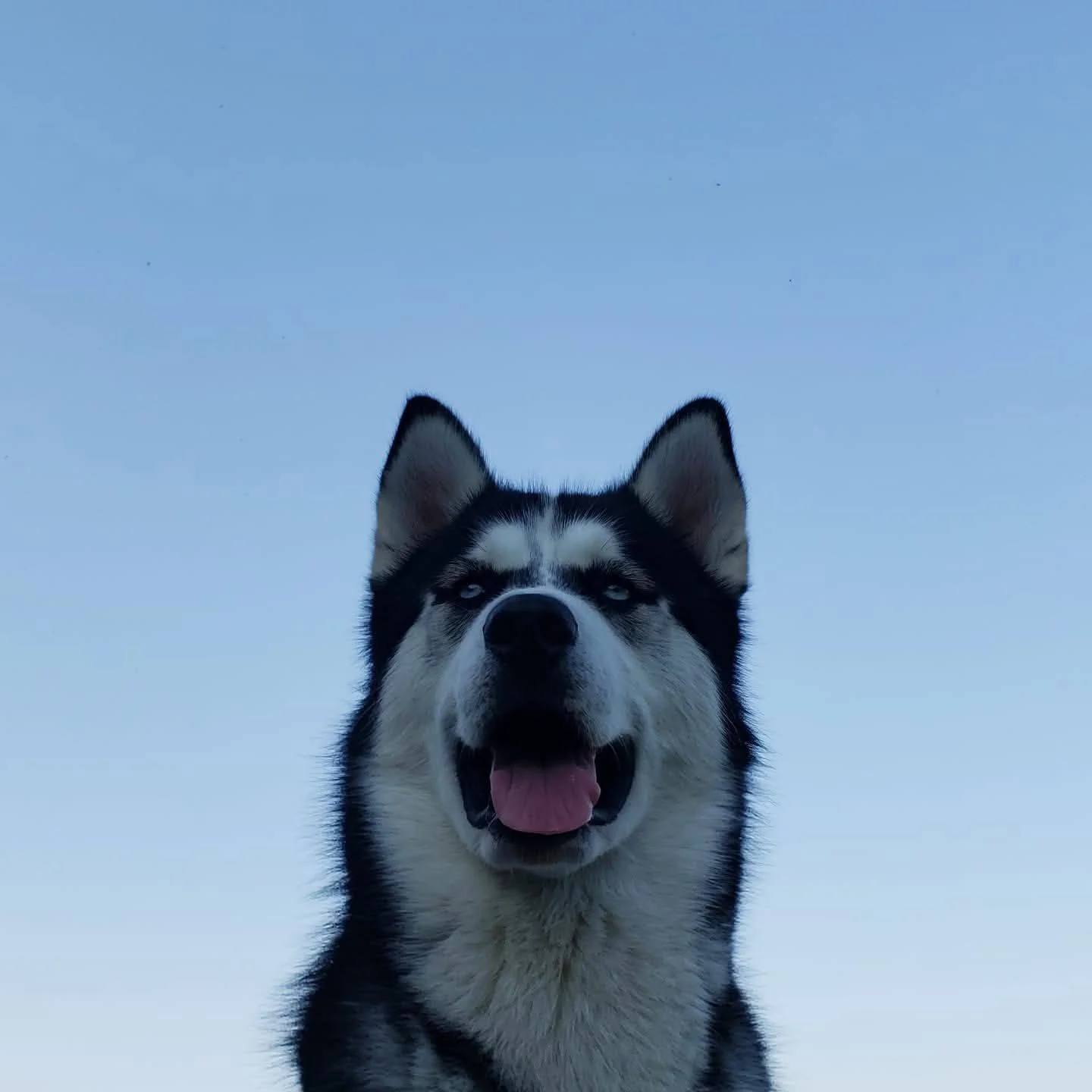 597587067_122169285350603306_5070849919566973540_n (6).jpg