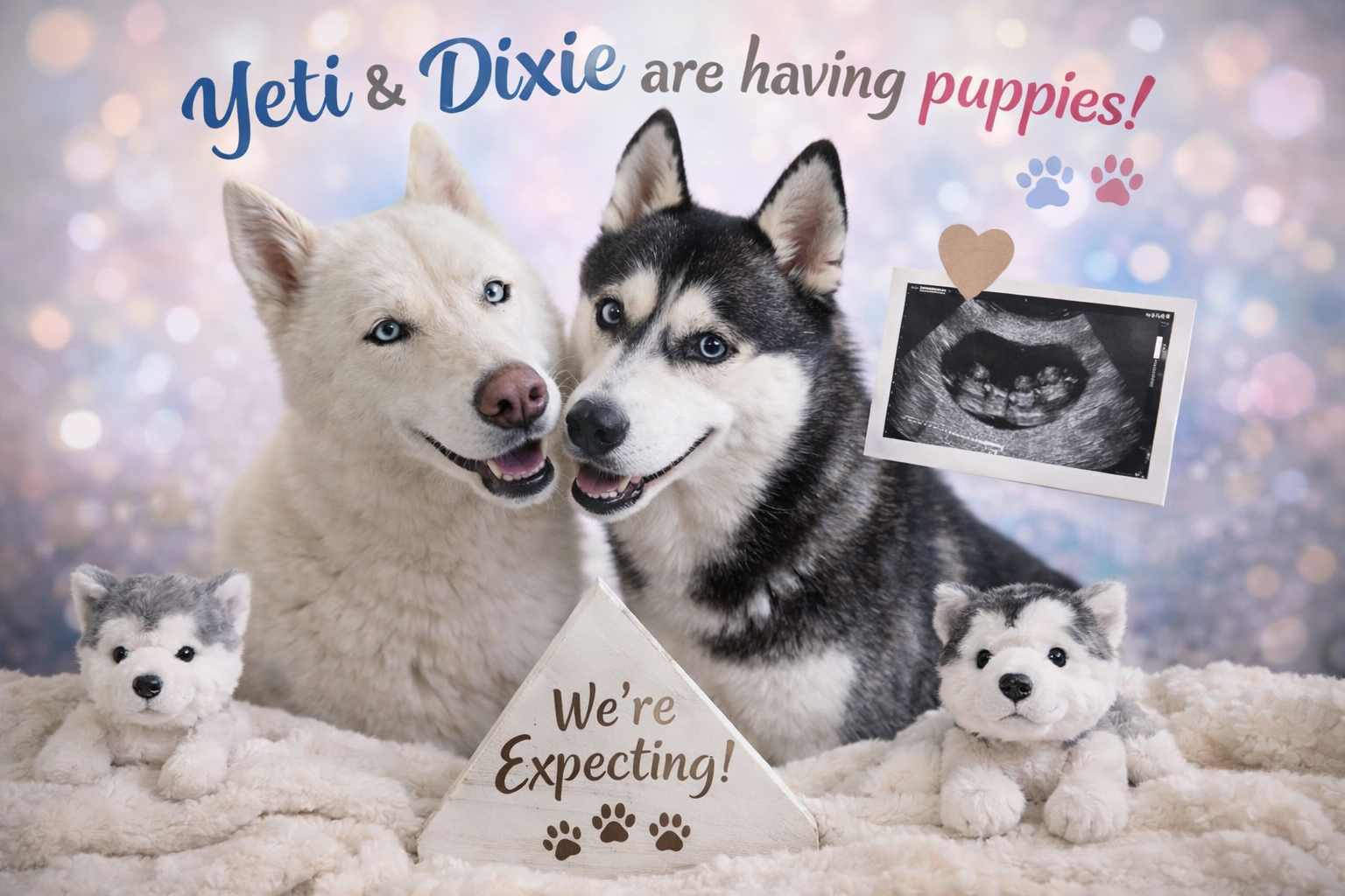 Yeti x Dixie Spring 2026 litter deposit