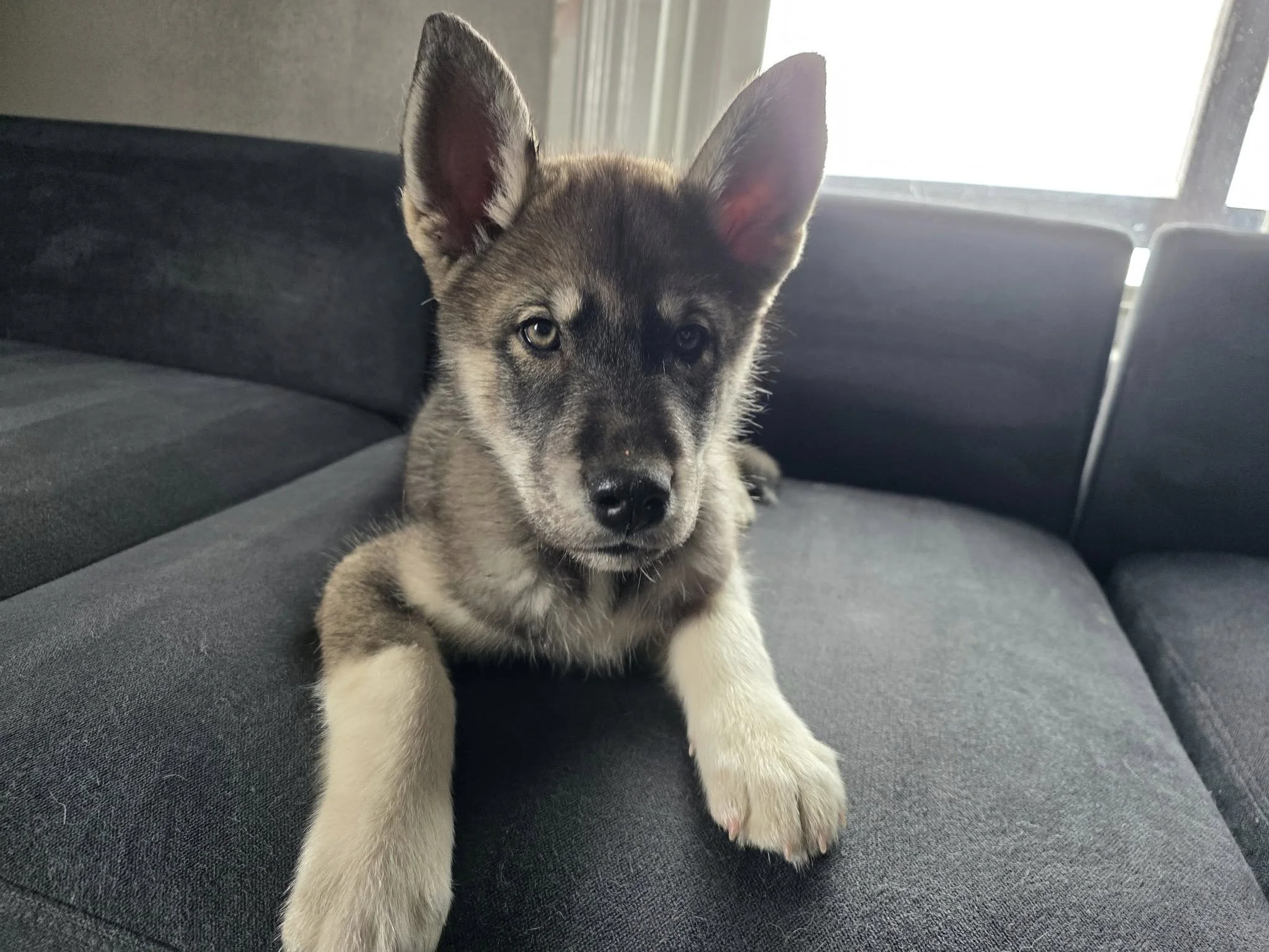 637840982_122176716422603306_4999746691232884732_n (2).jpg