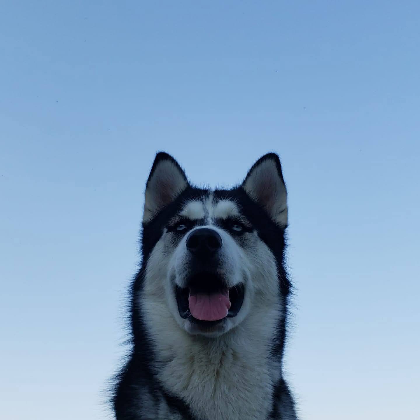 597587067_122169285350603306_5070849919566973540_n (5).jpg