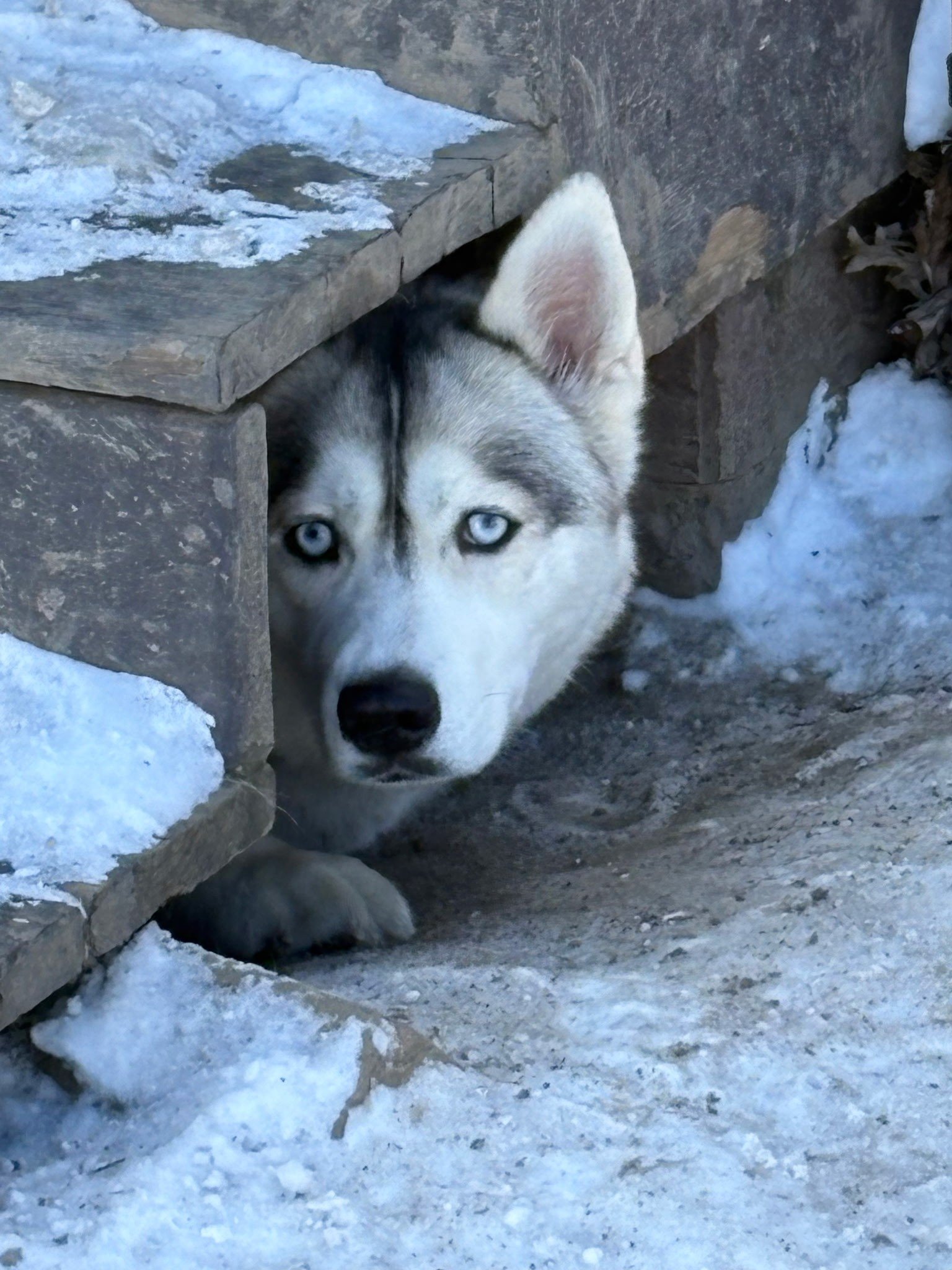 627133686_122175795806603306_8271826823100089455_n (1).jpg