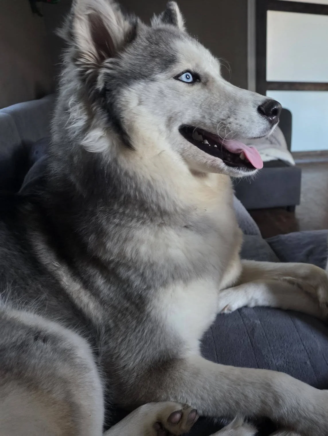 599512028_122169609398603306_7102411477167299762_n (1).jpg