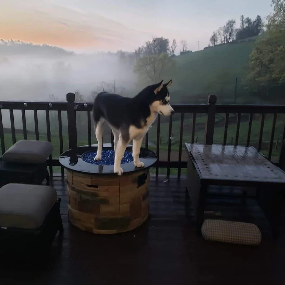 571202014_122163613136603306_6757567899465483083_n (1).jpg