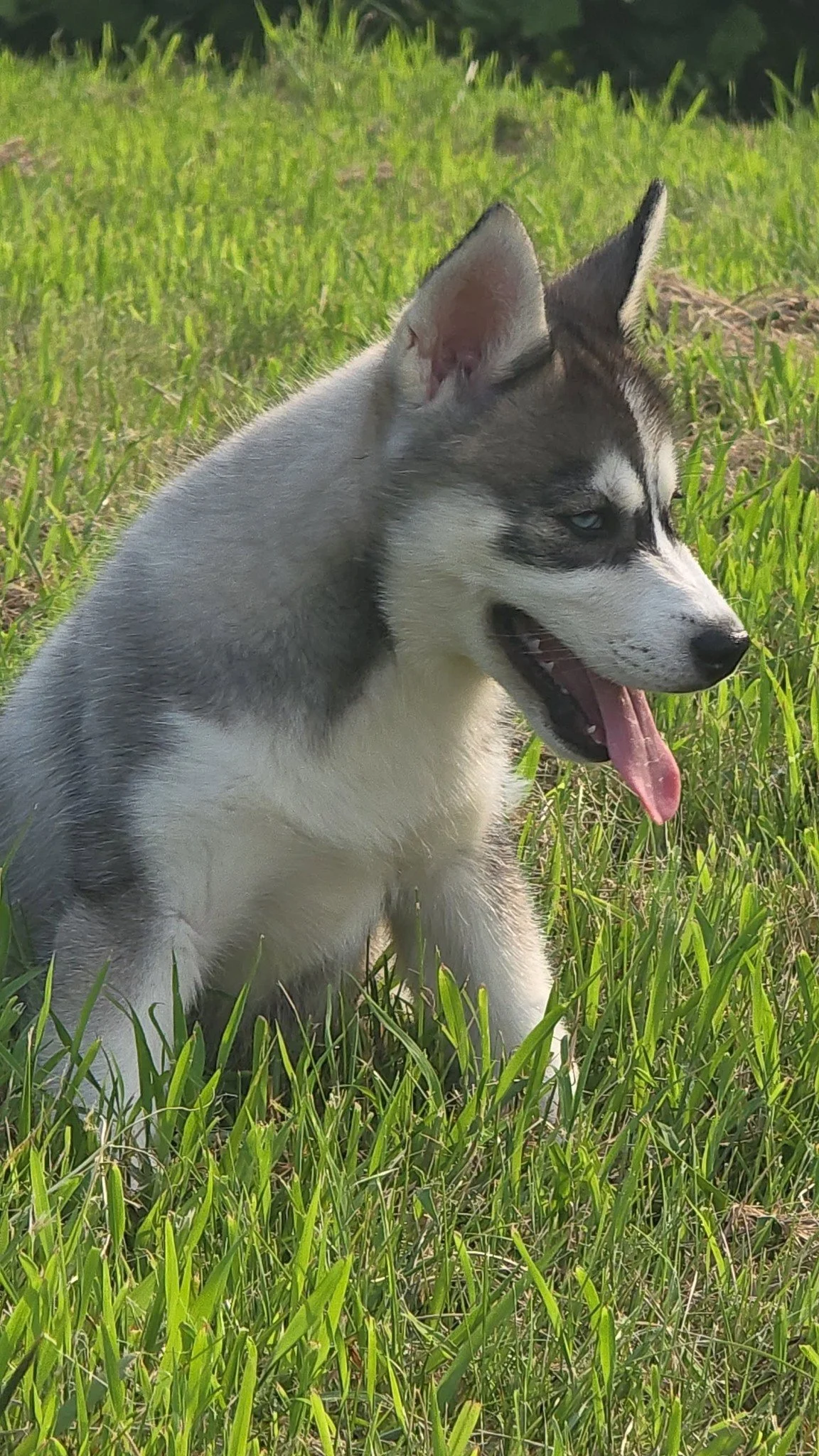 520257634_122151970178603306_5717083959160929560_n (1).jpg