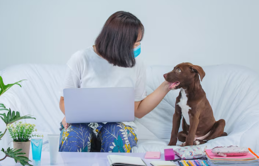 How to Easily Schedule a Dog Grooming Appointment