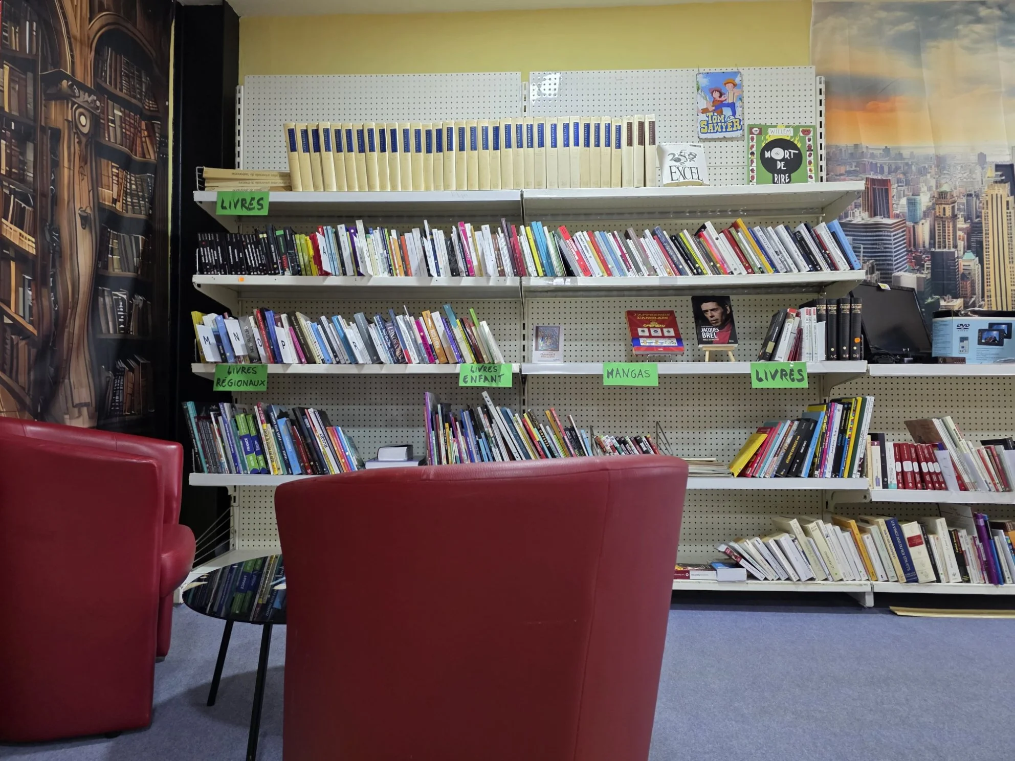 Une bibliothèque avec plusieurs étagères remplies de livres, certains classés par catégories comme livres régionaux, livres pour enfants, mangas, et livres, avec des affiches de livres et une ville en arrière-plan