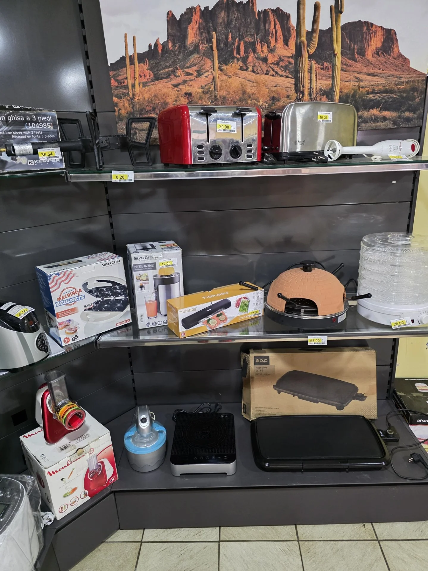 Une étagère avec des appareils électroménagers dont des grille-pain, un cuiseur à pizza, un plat à raclette, un fer à repasser électrique, et une plaque de cuisson électrique, avec un tableau en arrière-plan représentant un paysage désertique avec des montagnes et des cactus.