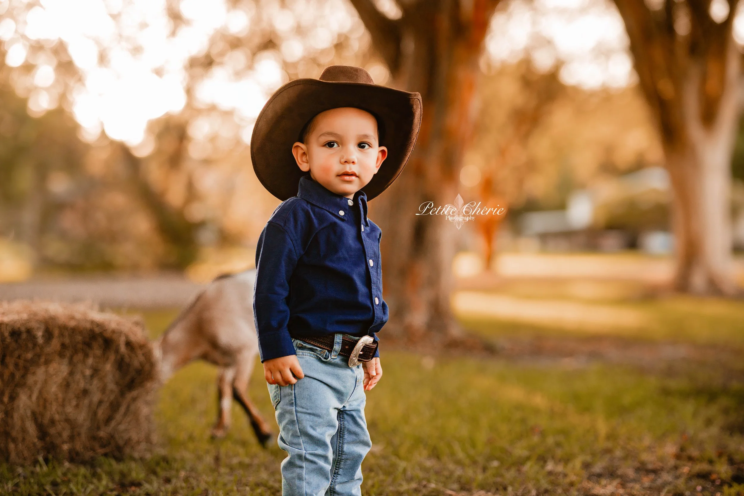 IMG_6982-Edit-Edit.jpg