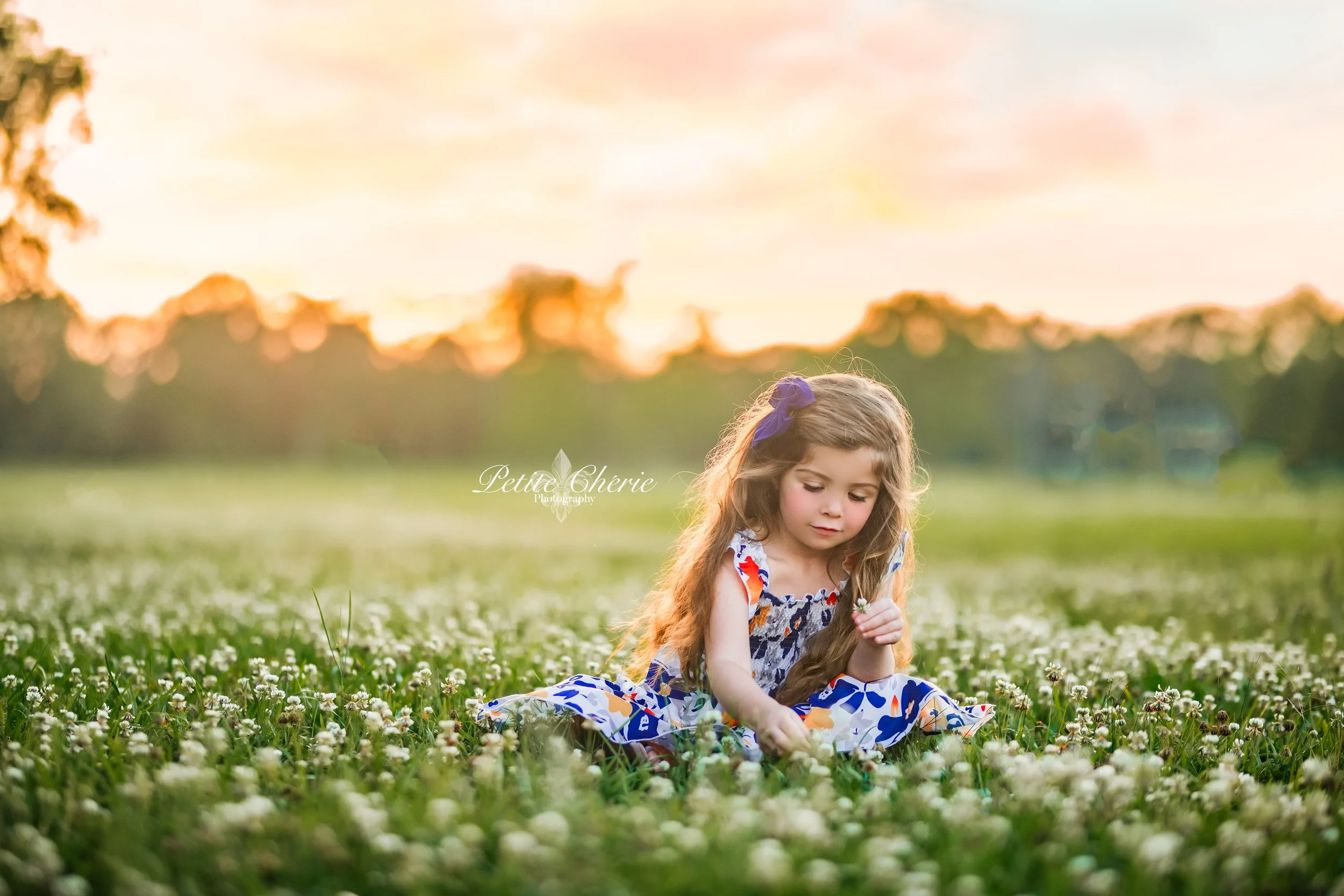 IMG_0343-Edit-Edit-Edit.jpg