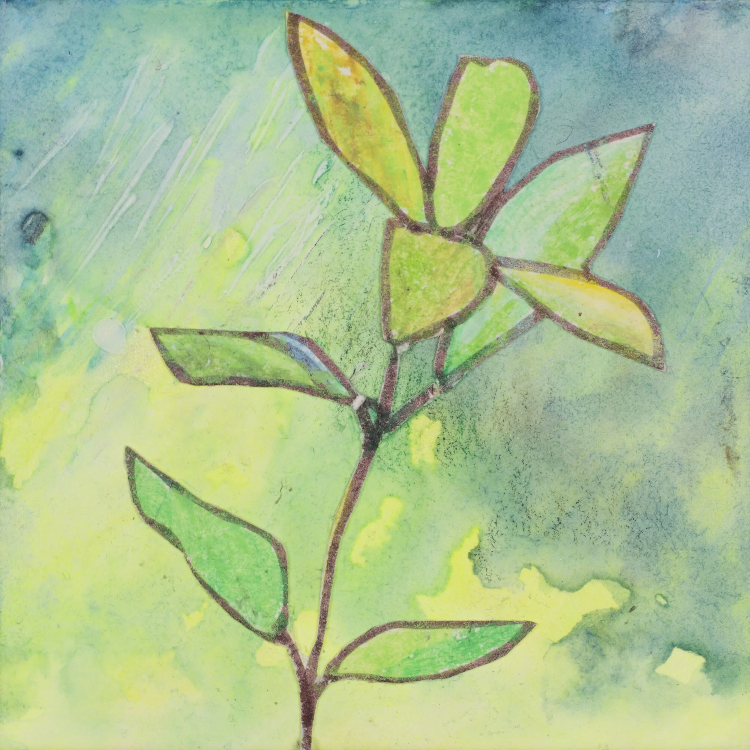 Atmosphere - Aurora borealis