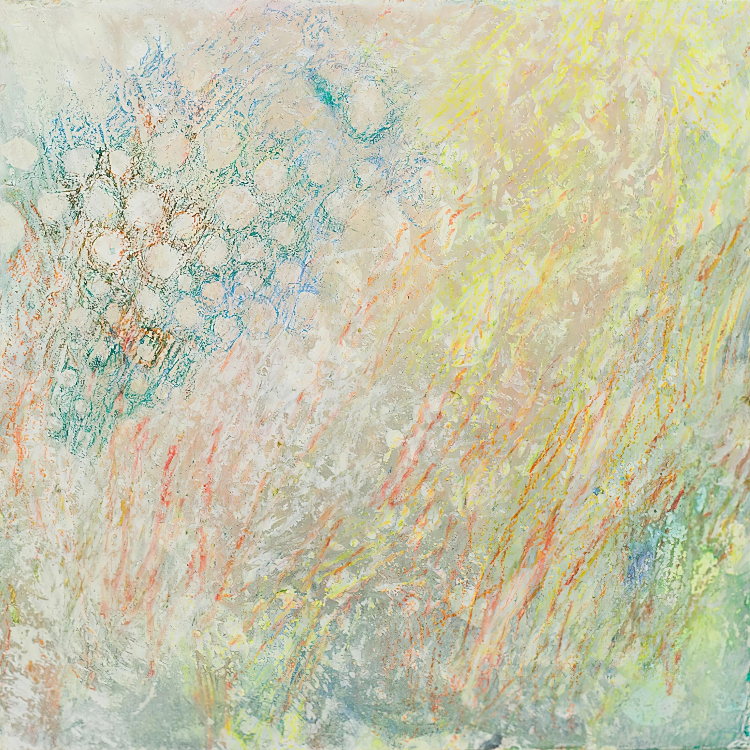 Grassland - Hidden trail