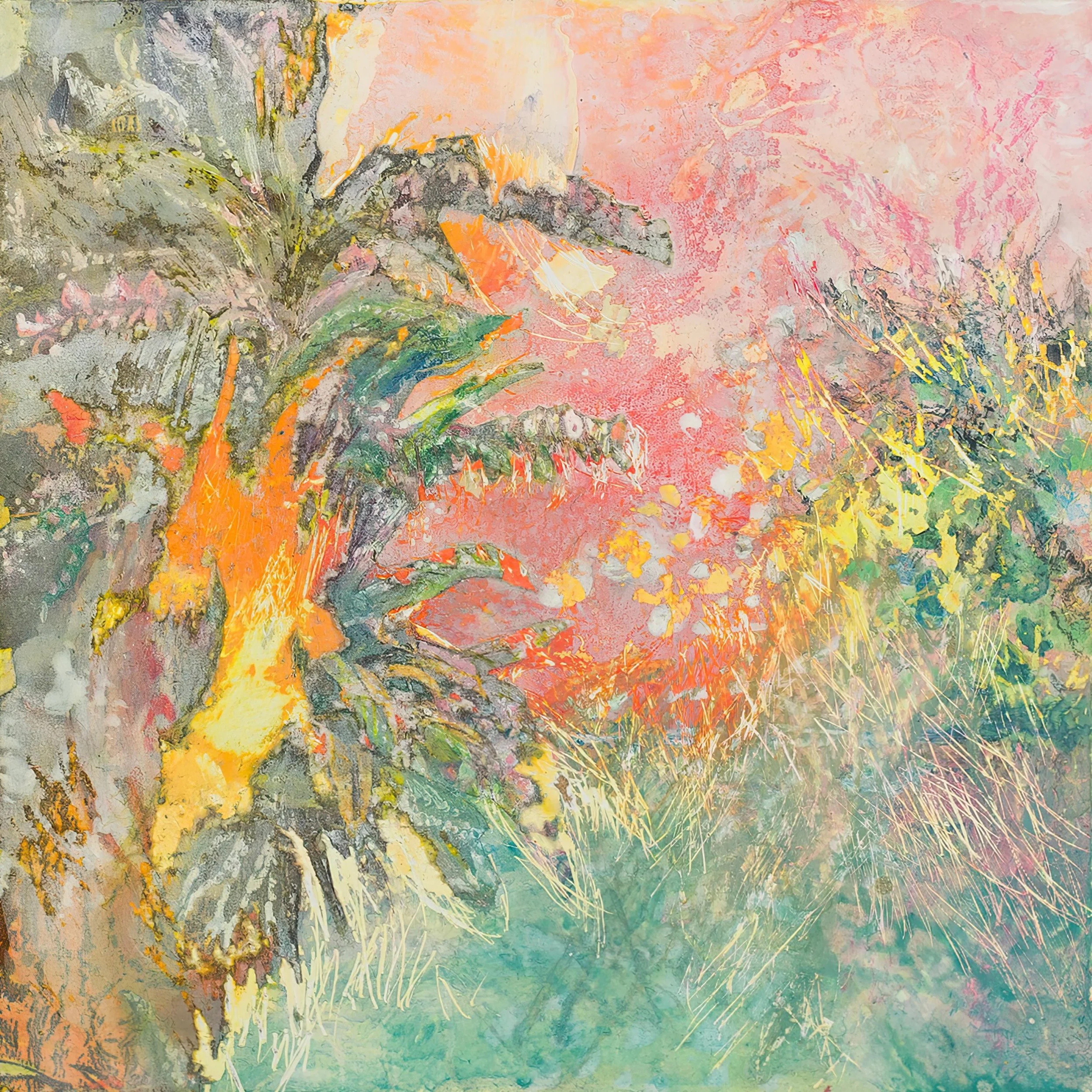 Tropical - Epiphytes