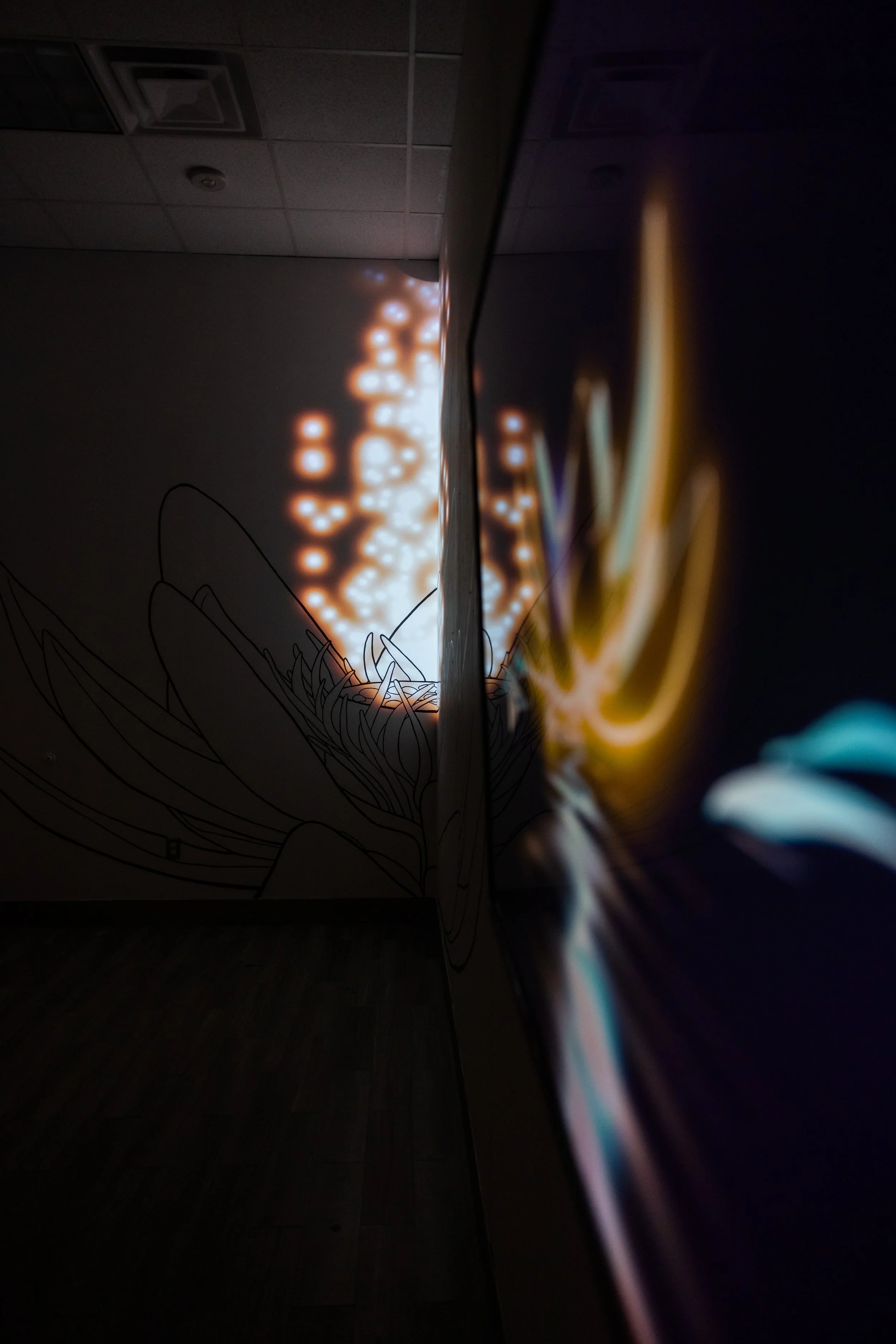 metacaustics-wilting-light-4905.jpg