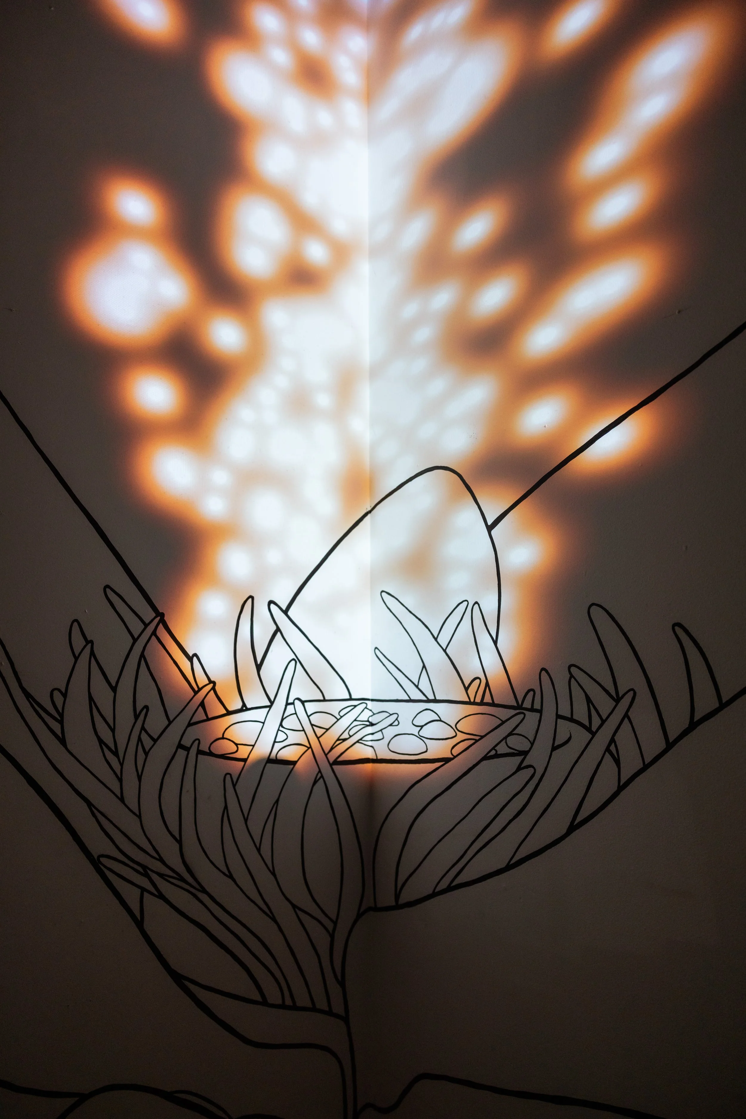 metacaustics-wilting-light-4914.jpg