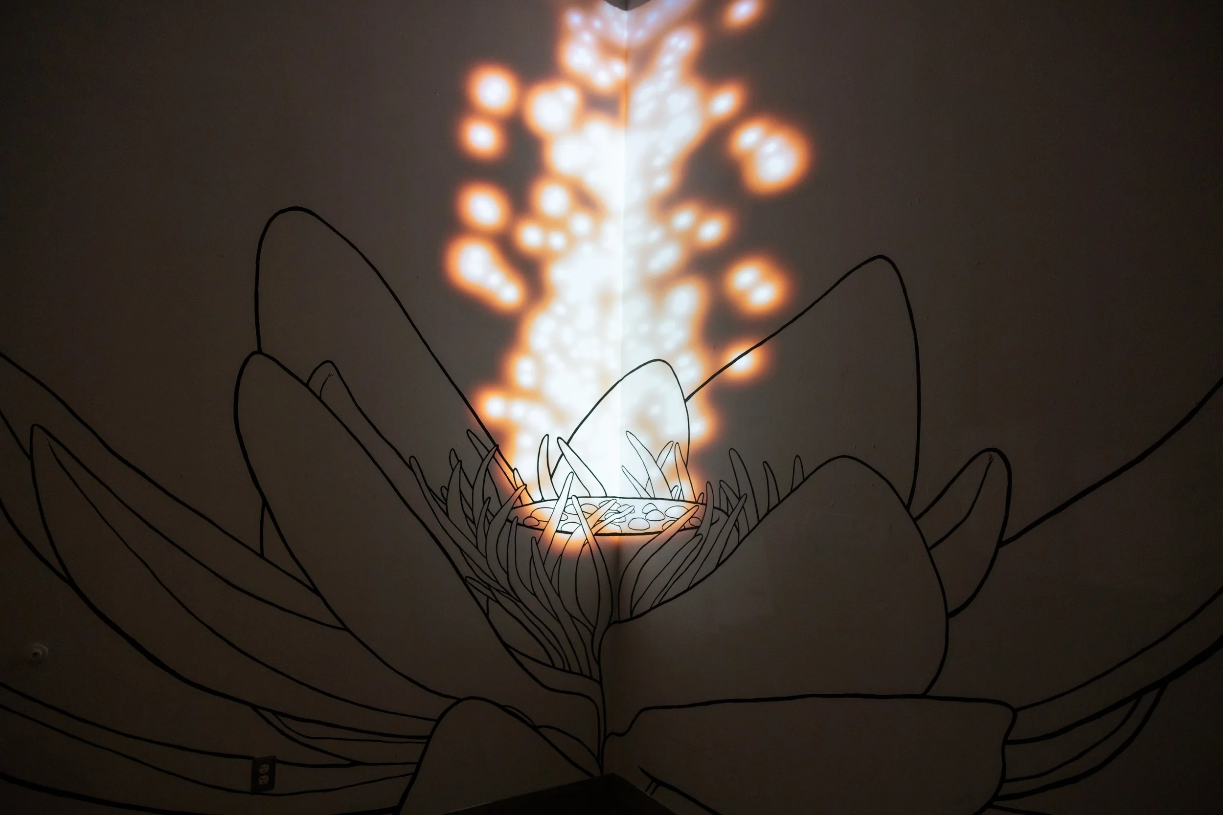 metacaustics-wilting-light-4870.jpg
