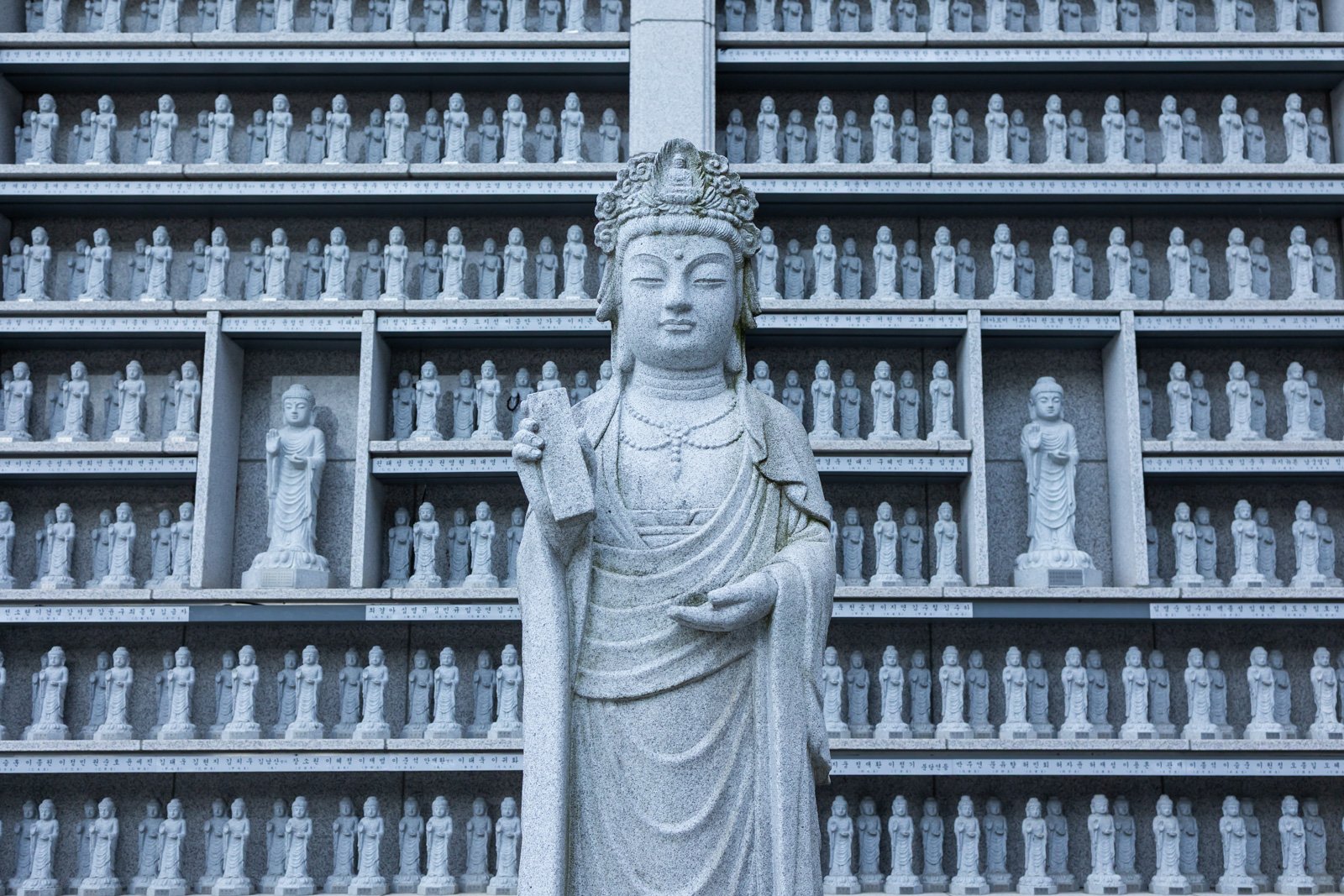 jasna-boudard-korea-web-5839.jpg