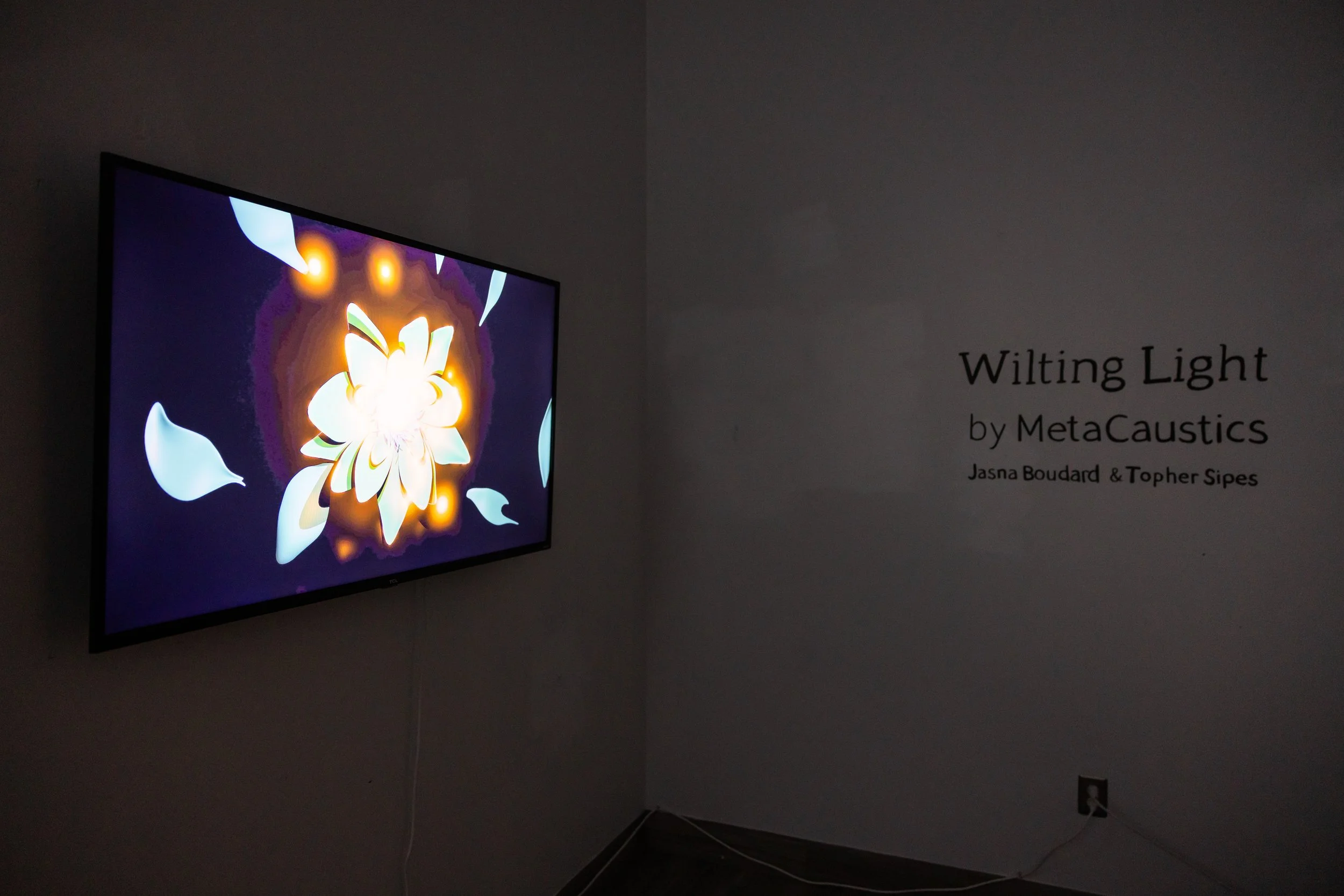metacaustics-wilting-light-4868.jpg