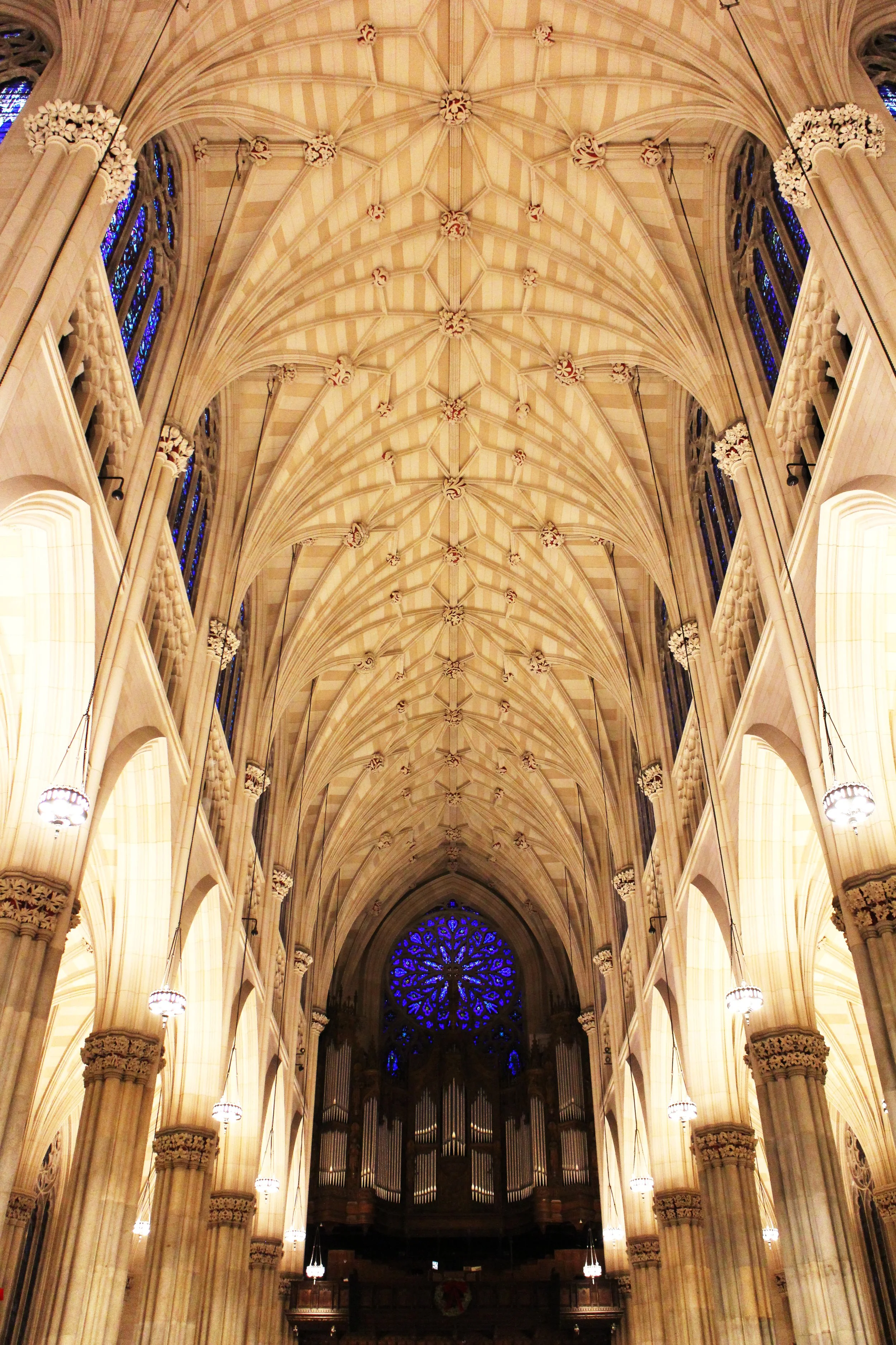 jasna_boudard_st patricks.jpg