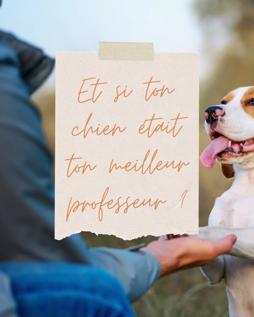 ✨ Il y a quelques jours, j&rsquo;ai re&ccedil;u un mail de Laure Hanouna de Chien Zen (d'ailleurs si tu ne la suis pas encore, je t'encourage fortement a aller voir ce qu'elle propose 🙂).

D&egrave;s les premi&egrave;res lignes, &ccedil;a a r&eacute