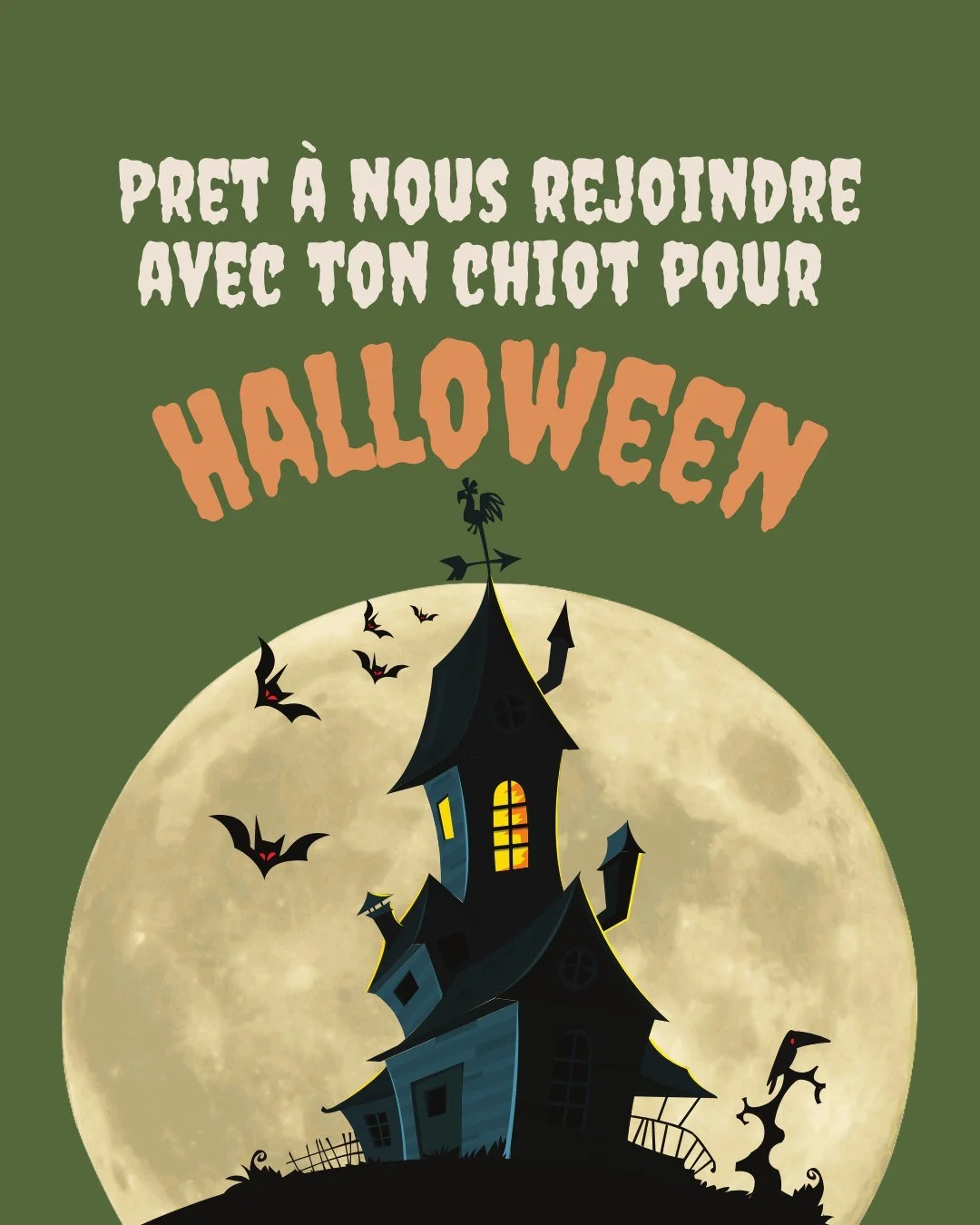🎃 Pr&ecirc;t pour un atelier pas comme les autres ?

Et si ton chiot vivait sa premi&egrave;re aventure magique d&rsquo;Halloween ? 👻🐾
Tu habites pr&egrave;s de Nantes et ton chiot a moins de 5 mois ?
Alors cet atelier est fait pour vous 💚

Rejoi