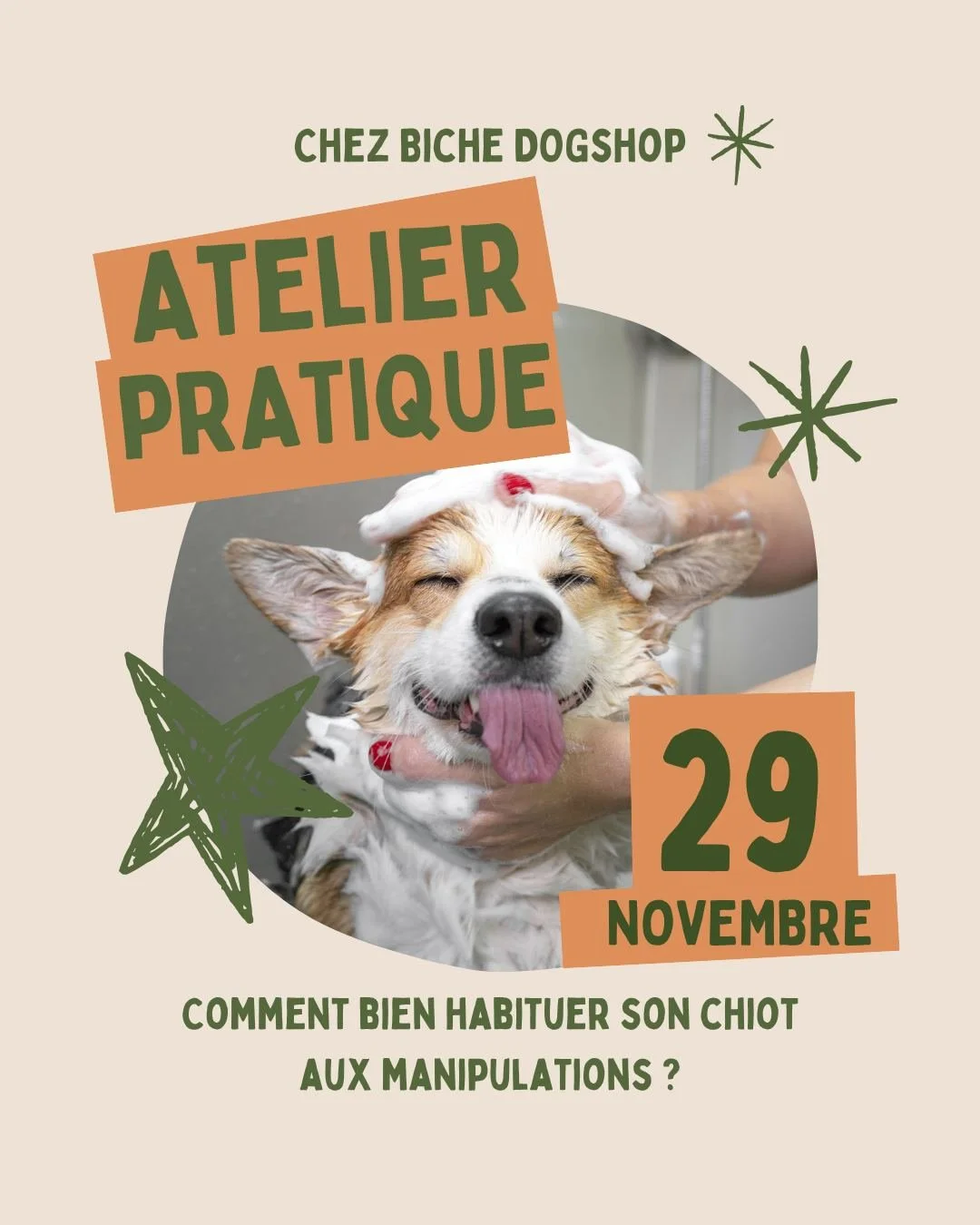 Tu viens d&rsquo;accueillir un chiot (ou ton jeune chien te donne d&eacute;j&agrave; du fil &agrave; retordre au moment des soins) ?
Bonne nouvelle : tu peux lui apprendre &agrave; vivre ces moments sans stress, sans cris, et avec confiance 🐾

💡 Le