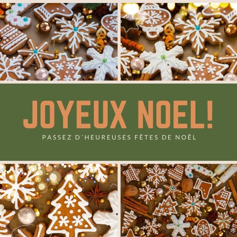 Premier No&euml;l avec ton poilu ou pas, l&rsquo;important c&rsquo;est l&rsquo;amour ❤️

Joyeux No&euml;l &agrave; toutes les petites truffes et leurs familles 🎄🐶

🎄📸 Poste une photo de ton chien pr&egrave;s du sapin en story et tague-moi, j&rsqu