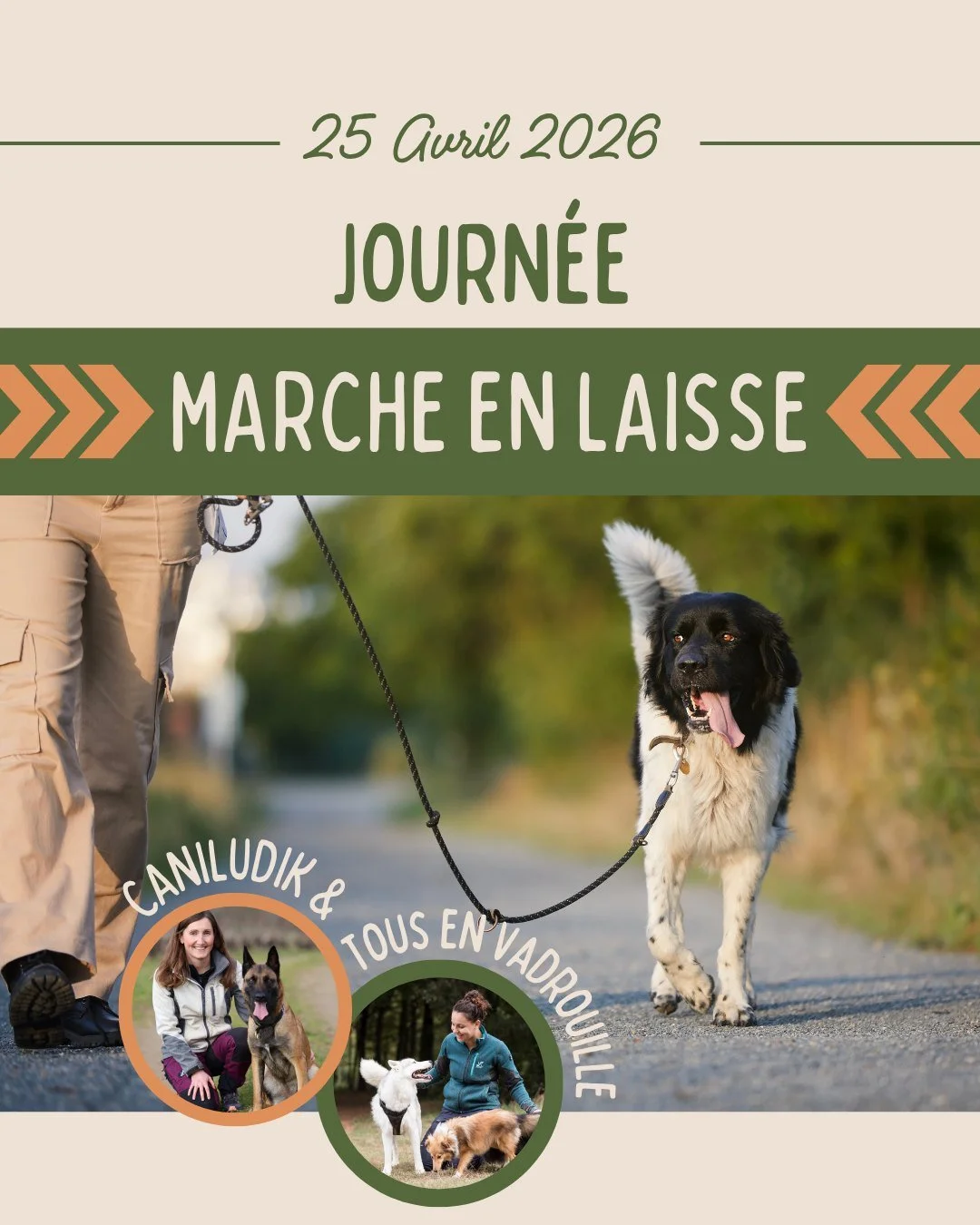 🐾 Imagine&hellip; une balade o&ugrave; ton chien marche &agrave; tes c&ocirc;t&eacute;s, o&ugrave; tu peux enfin profiter, respirer&hellip; et juste &ecirc;tre ensemble.

Plus besoin d&rsquo;anticiper chaque croisement, plus besoin de te battre avec