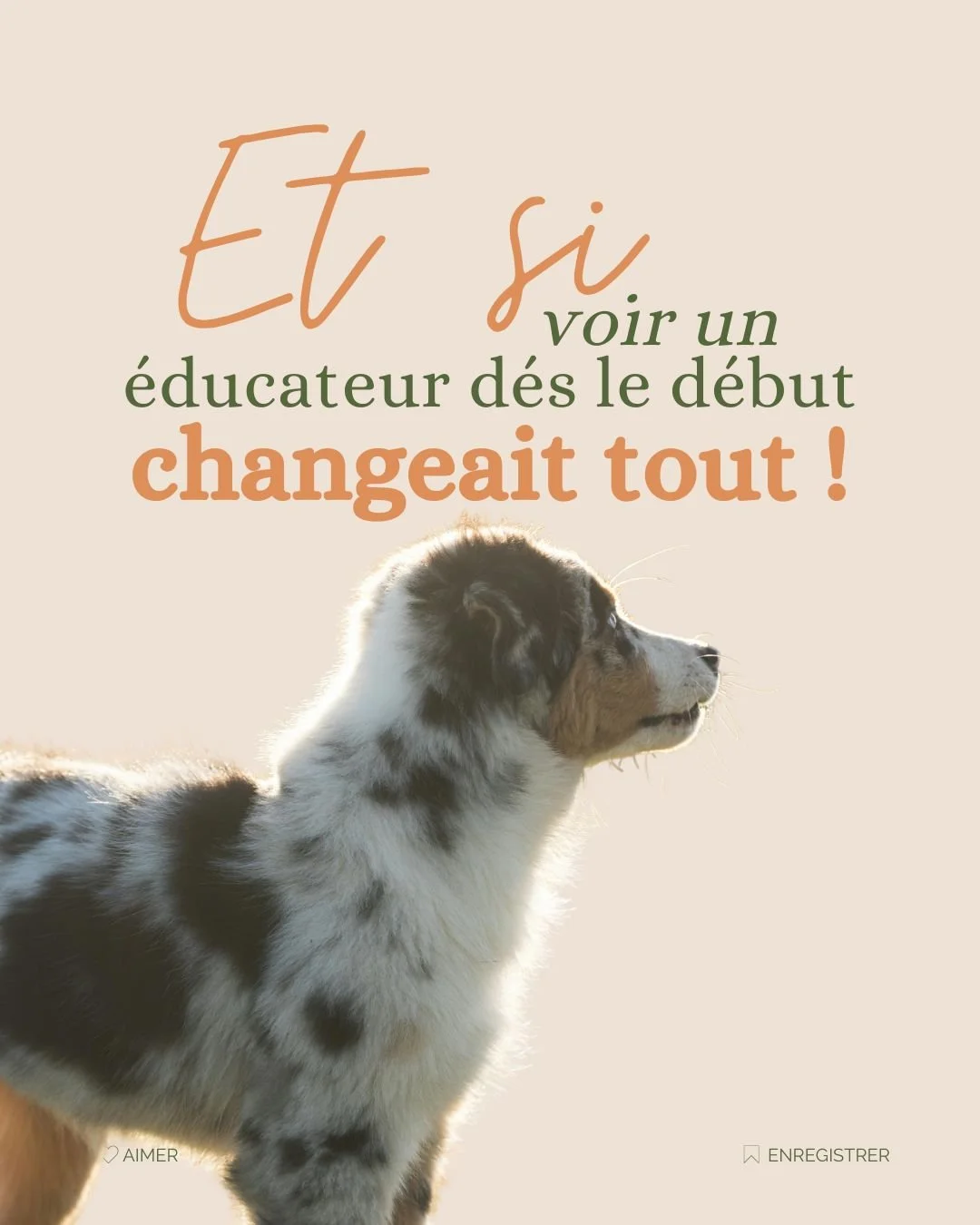 Tu viens d&rsquo;accueillir un chiot&hellip; ou il arrive bient&ocirc;t 🐶✨

Et forc&eacute;ment, tu te poses mille questions :
👉 Est-ce que je fais bien ?
👉 Est-ce que je dois voir un &eacute;ducateur ?
👉 Ou j&rsquo;attends de voir comment &ccedi