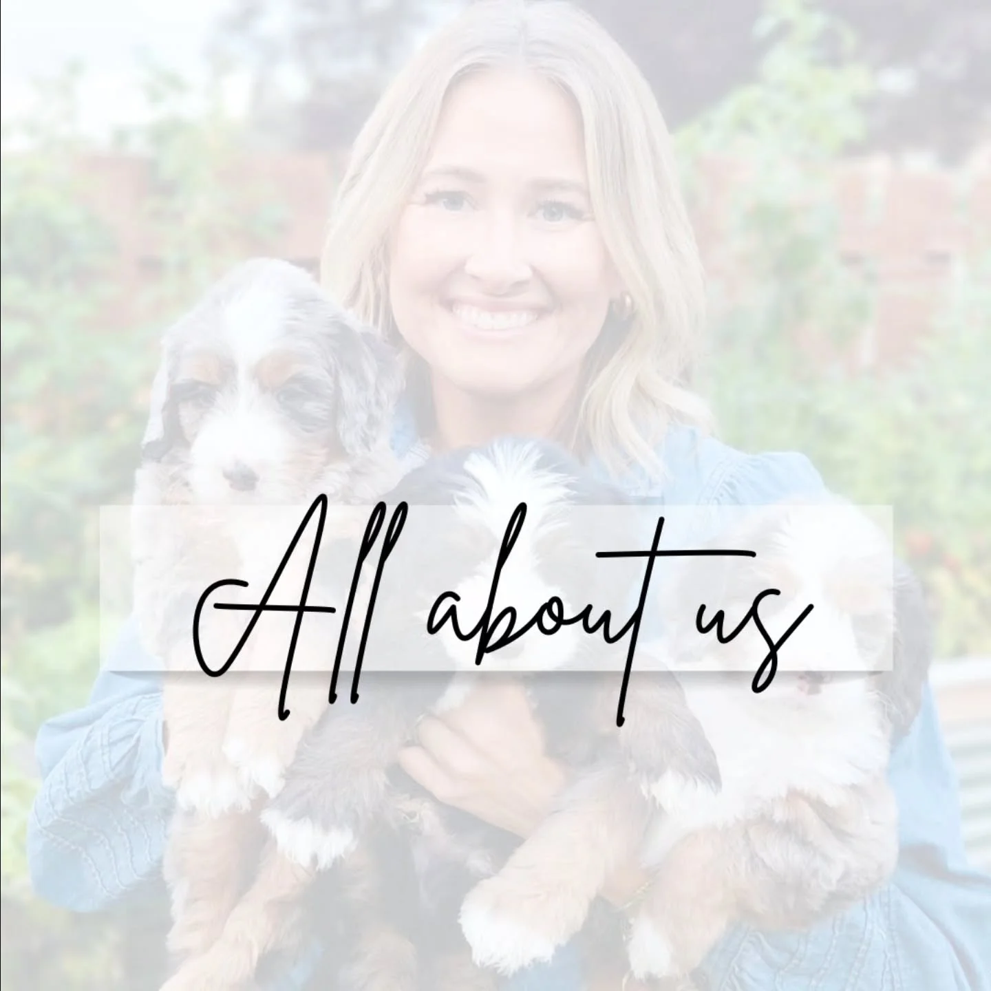 Hi, I’m Hailey—the face behind Macy Meadows Doodles!
Dogs have always been a big part of my life. My love for them started early, visiting my grandma’s Shih Tzu puppies (I still say they’re the cutest around!). At 14, I got m