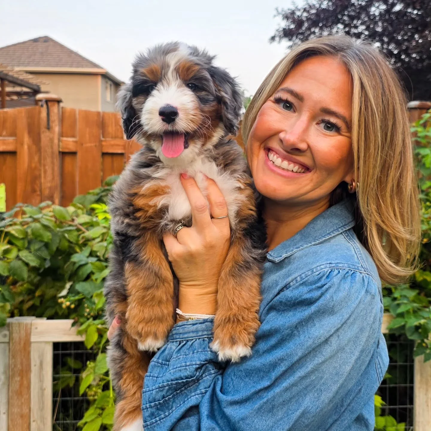 Happy New Year&rsquo;s Eve ✨

As we step into a new year and reflect on 2025, my heart is so full. This year brought incredible moments, valuable lessons, meaningful friendships, and so many amazing puppies raised with love.

I&rsquo;m beyond gratefu