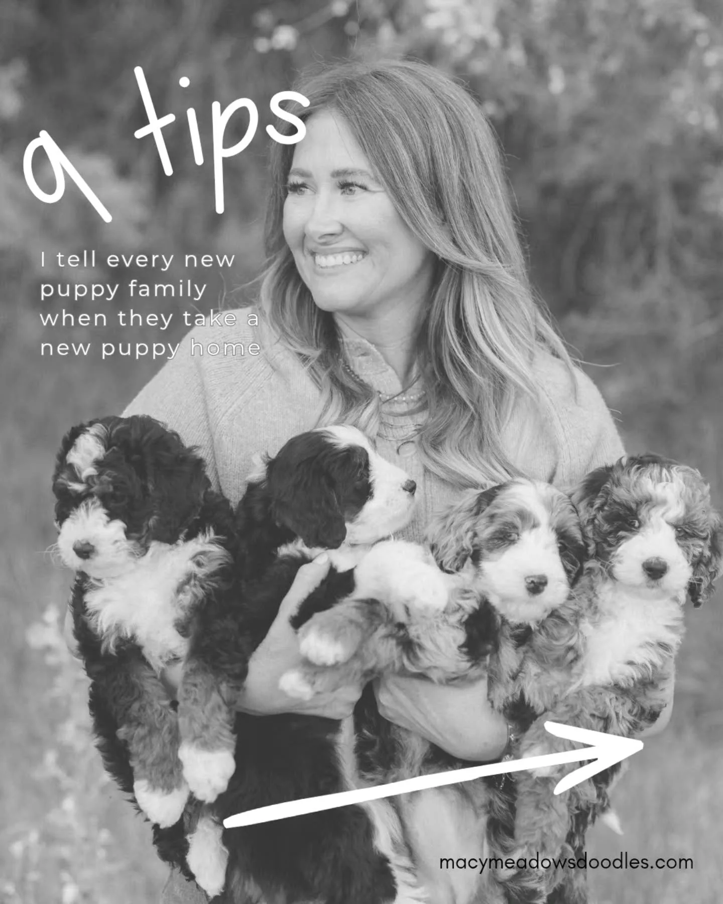 🐾 9 THINGS I TELL EVERY NEW PUPPY FAMILY 🤎
Bringing home a new puppy is exciting, a little chaotic, and full of those moments you&rsquo;ll wish you could bottle up forever. 🥹 I send our families home with tons of tips and instructions in our own l