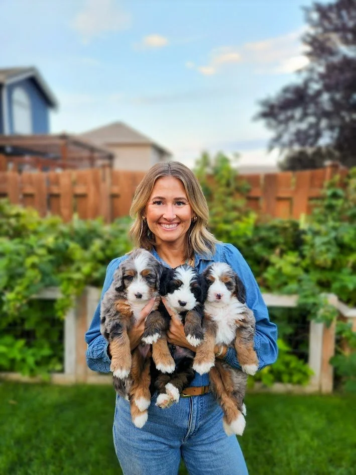 A smiling woman holding three Australian Shepherd puppies outdoors in a backyard with green plants and a wooden fence.