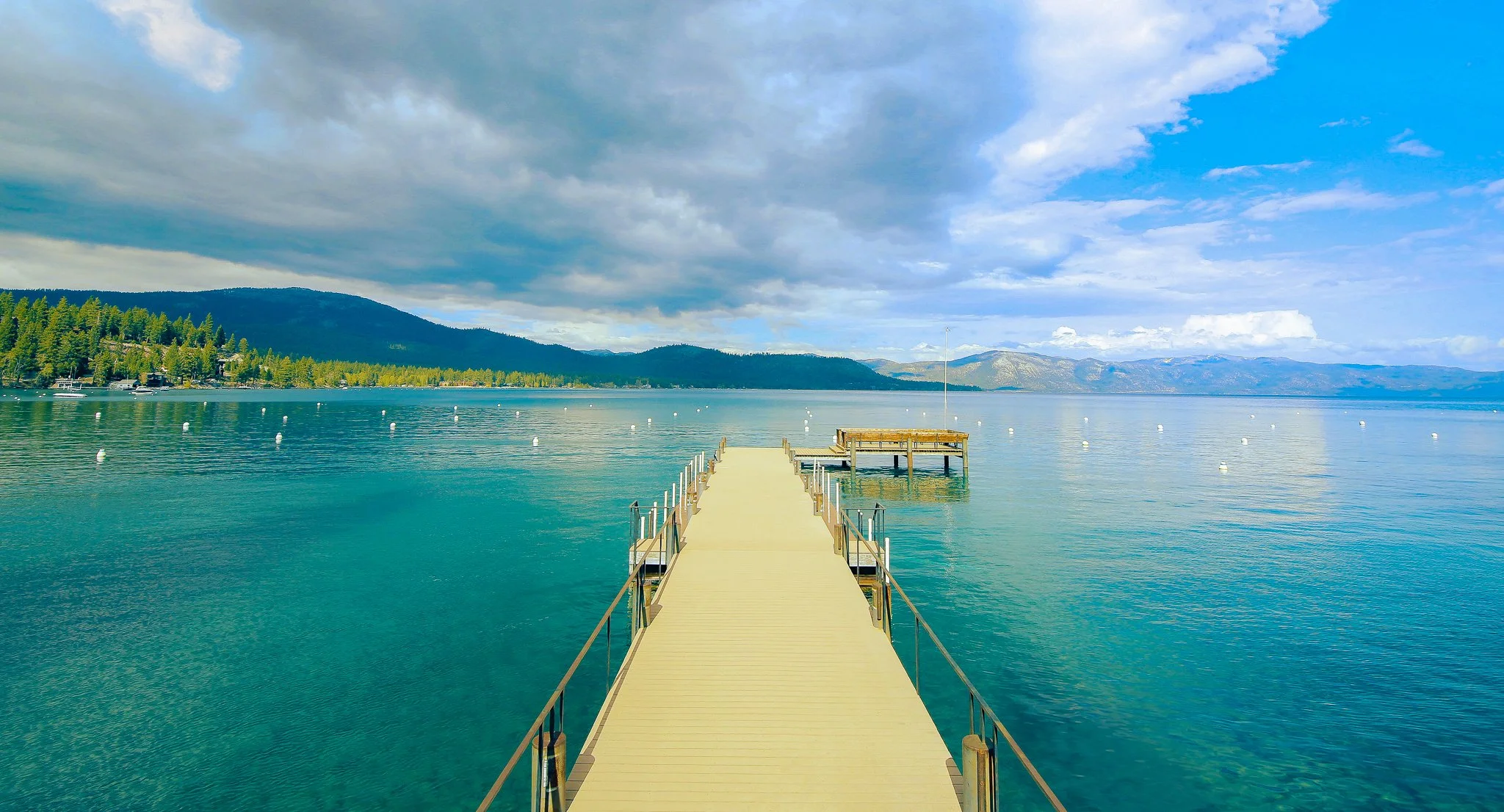 intricate nature -1.jpg