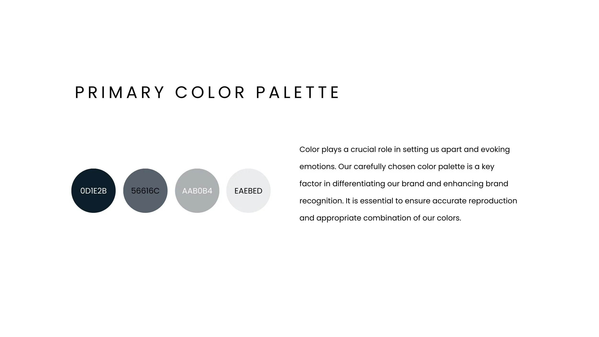 Primary Color Palette.jpg