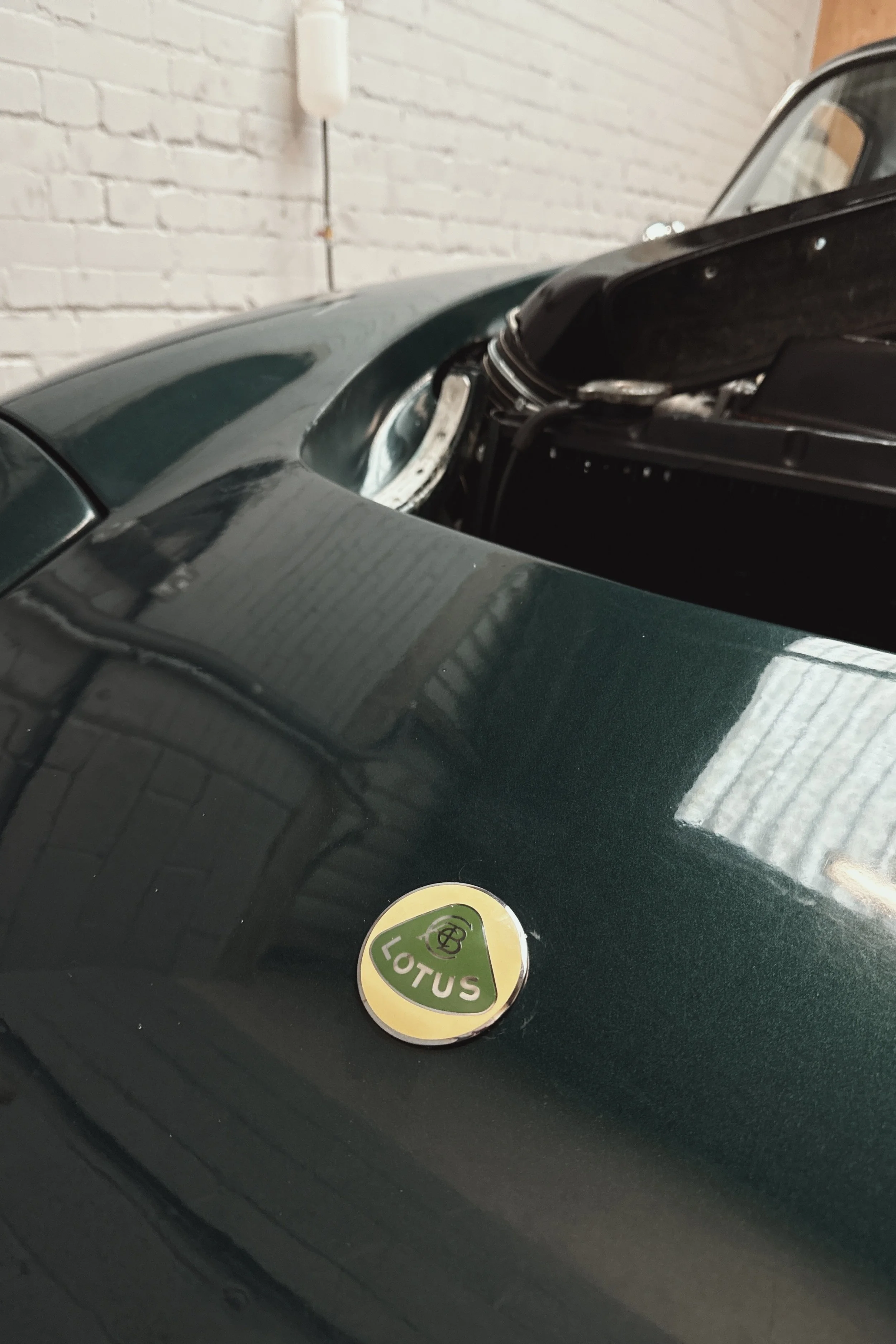 New correct bonnet badge